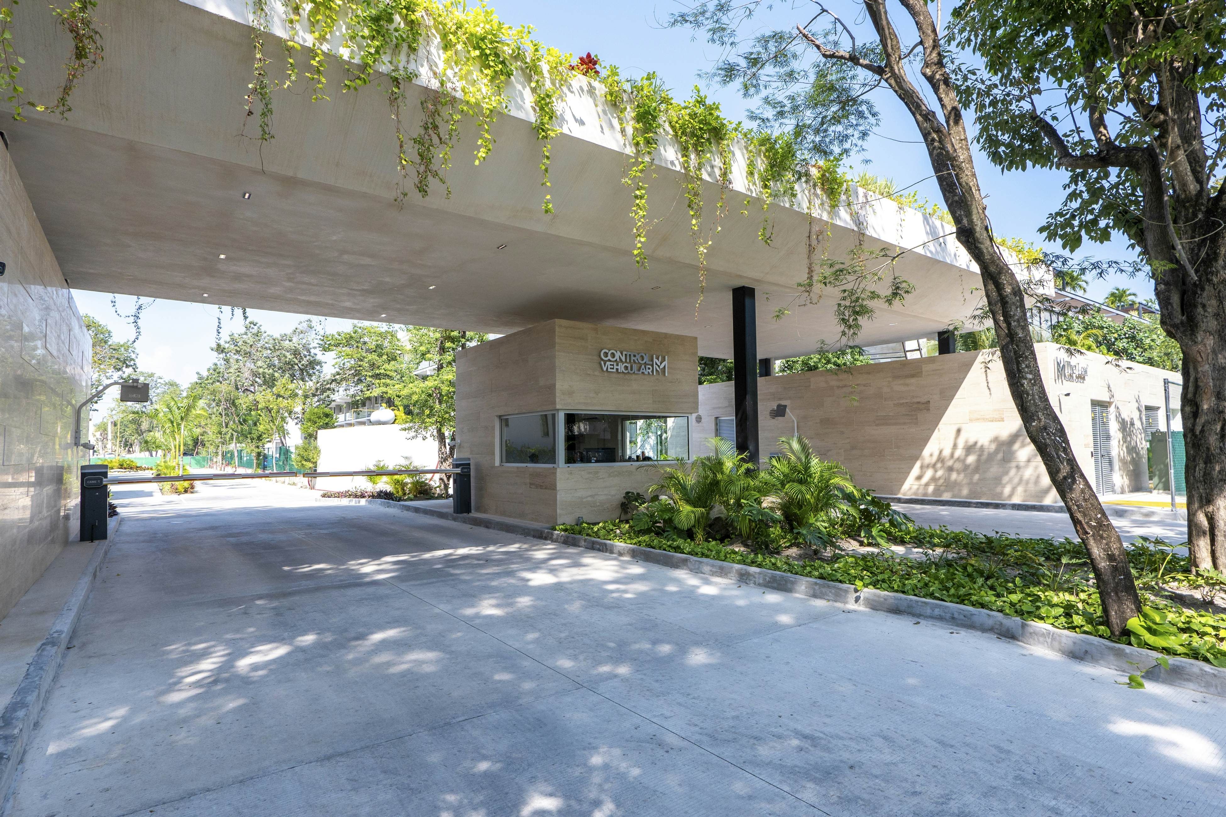 Whispering Palms TL  B114