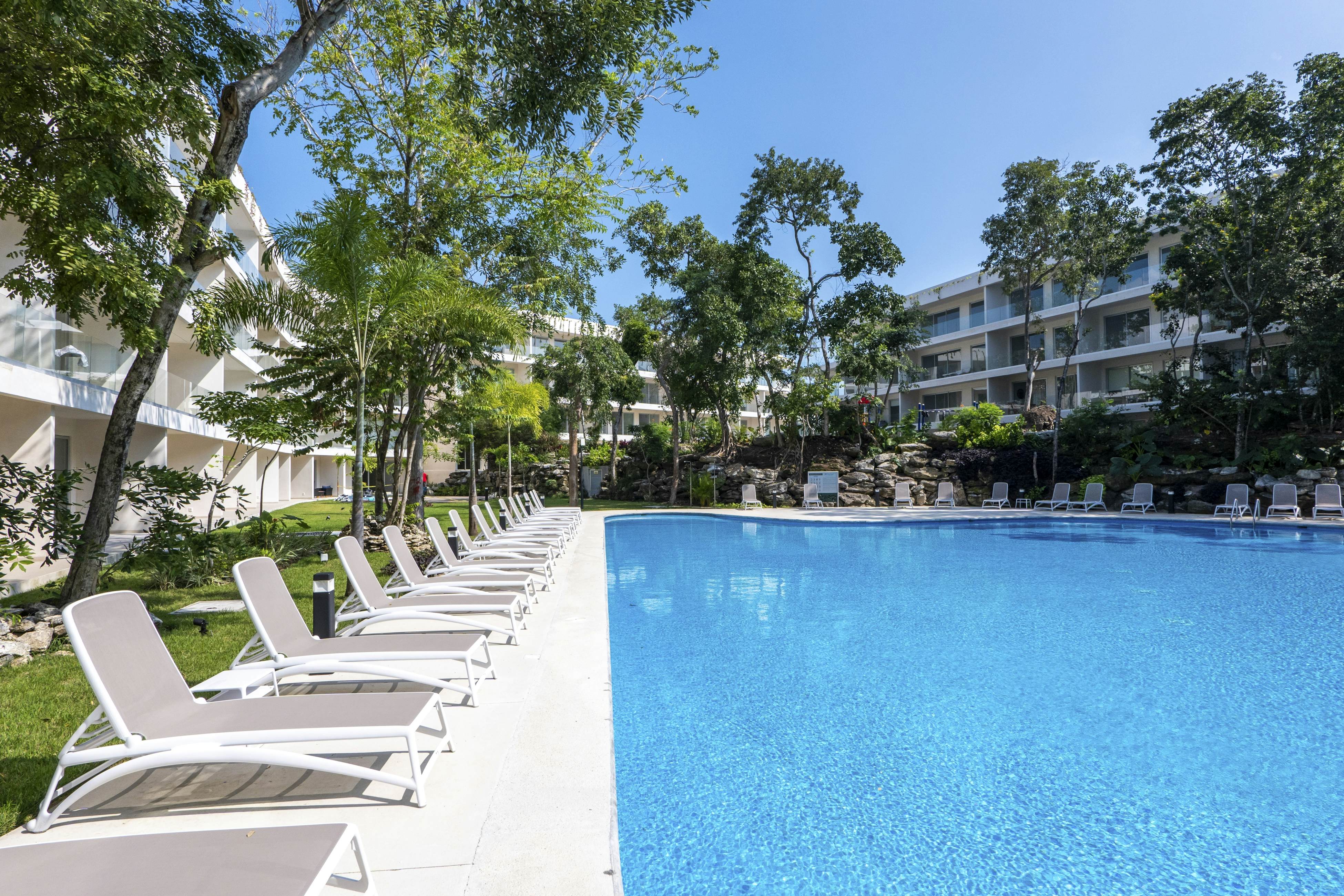 Whispering Palms TL  B114