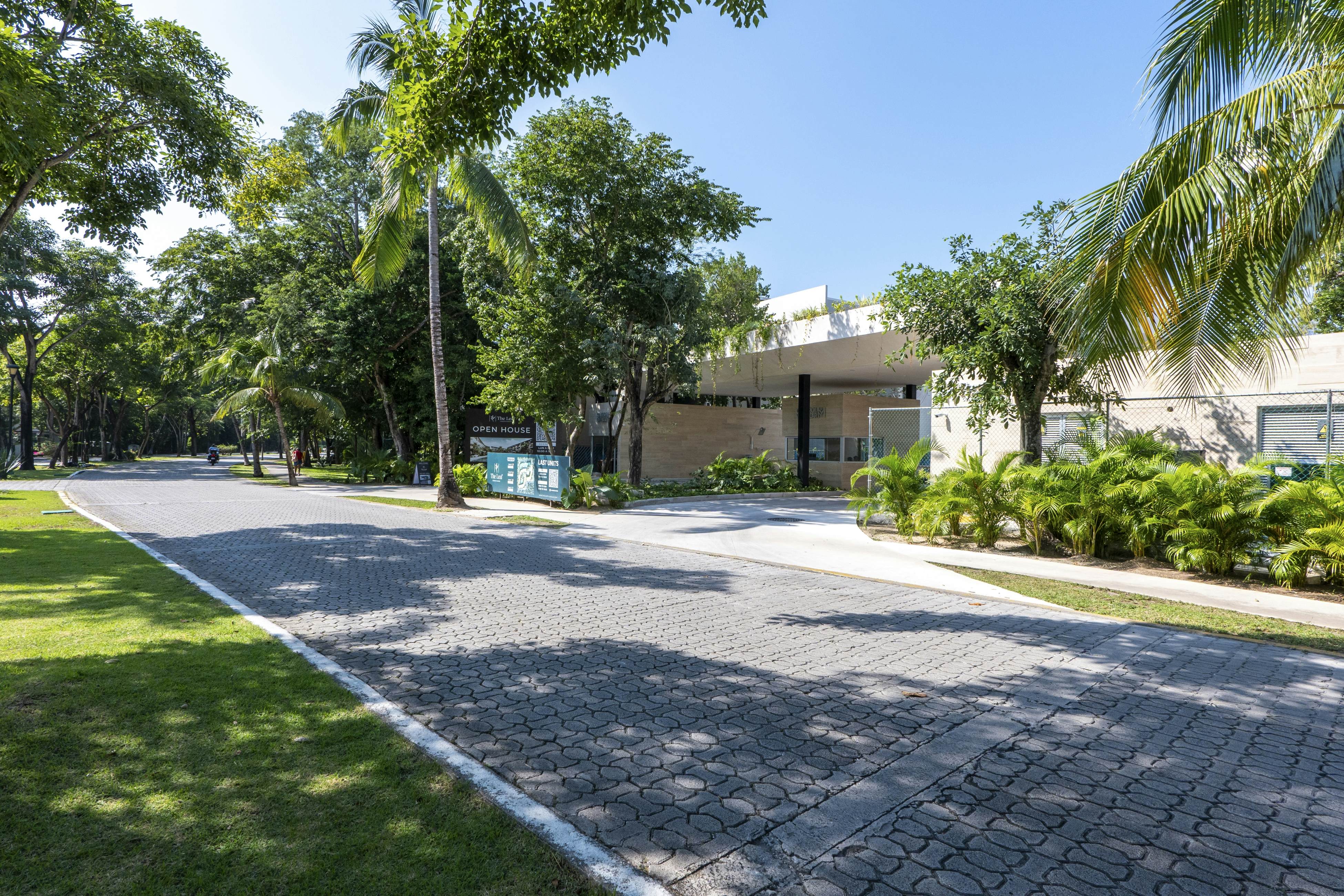 Whispering Palms TL  B114