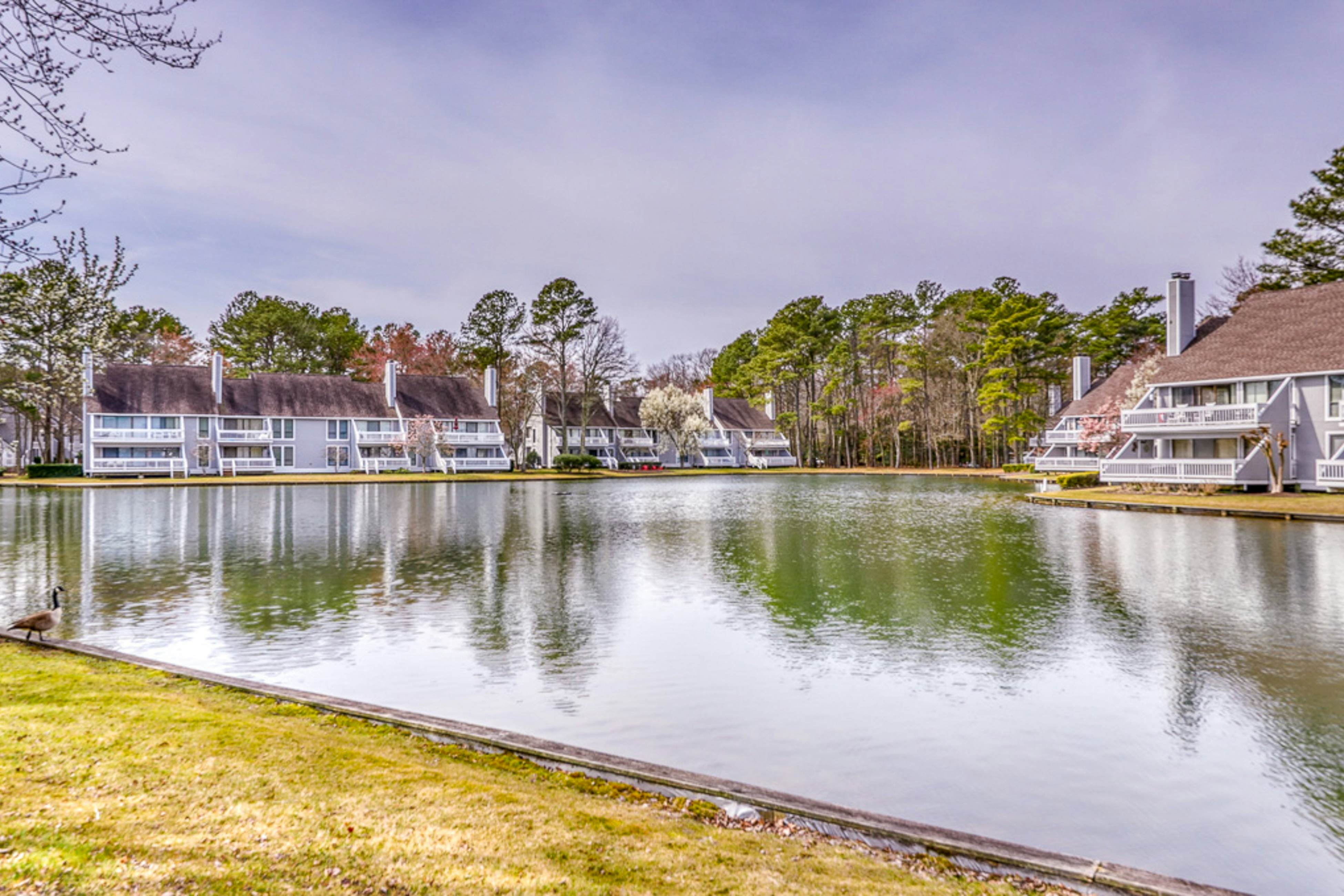 Sea Colony - 18003 Lakeview Ct