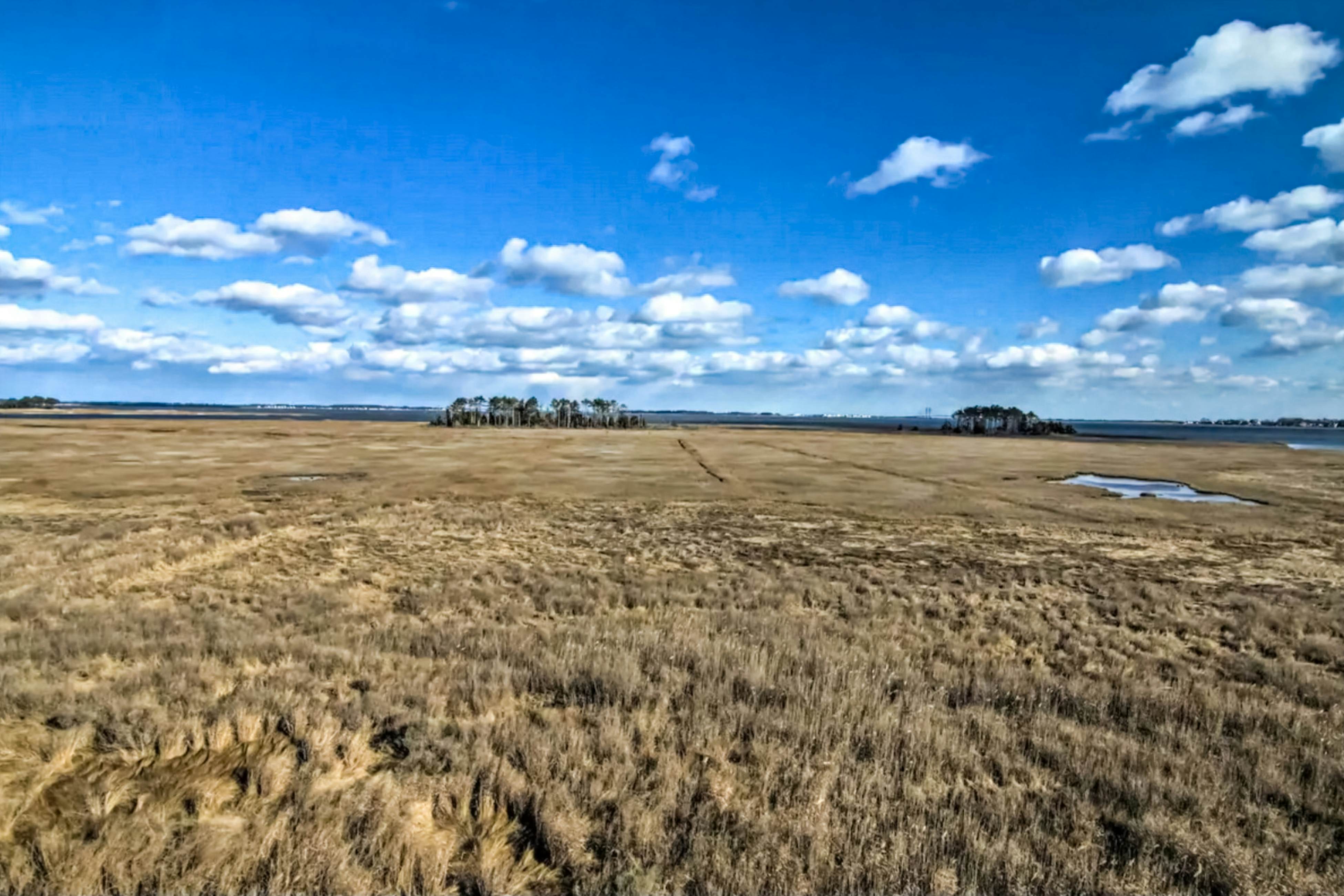 Bethany Bay - 37464 Pettinaro Dr #7204