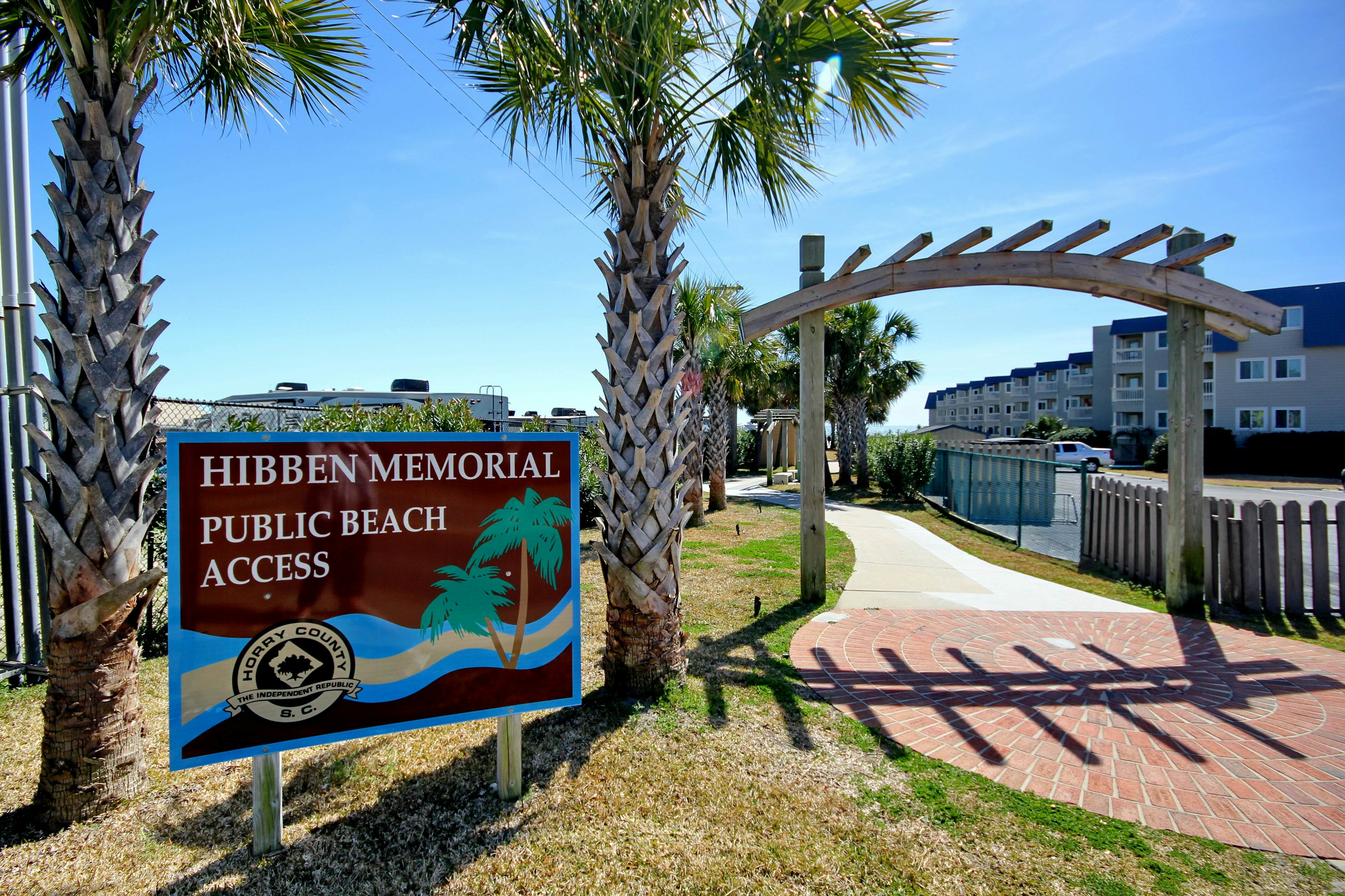 Arcadian Dunes 19-374