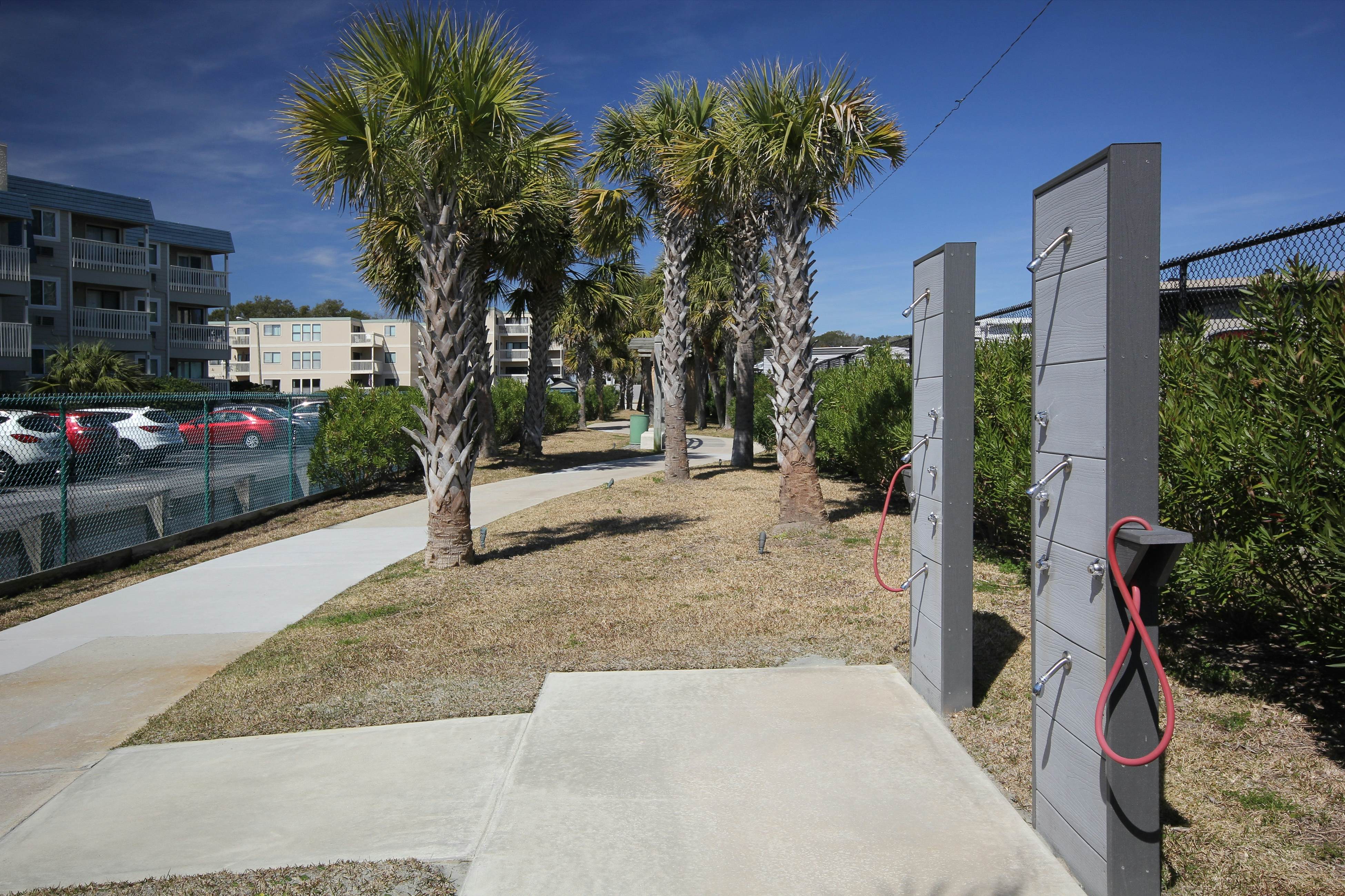 Arcadian Dunes 19-374