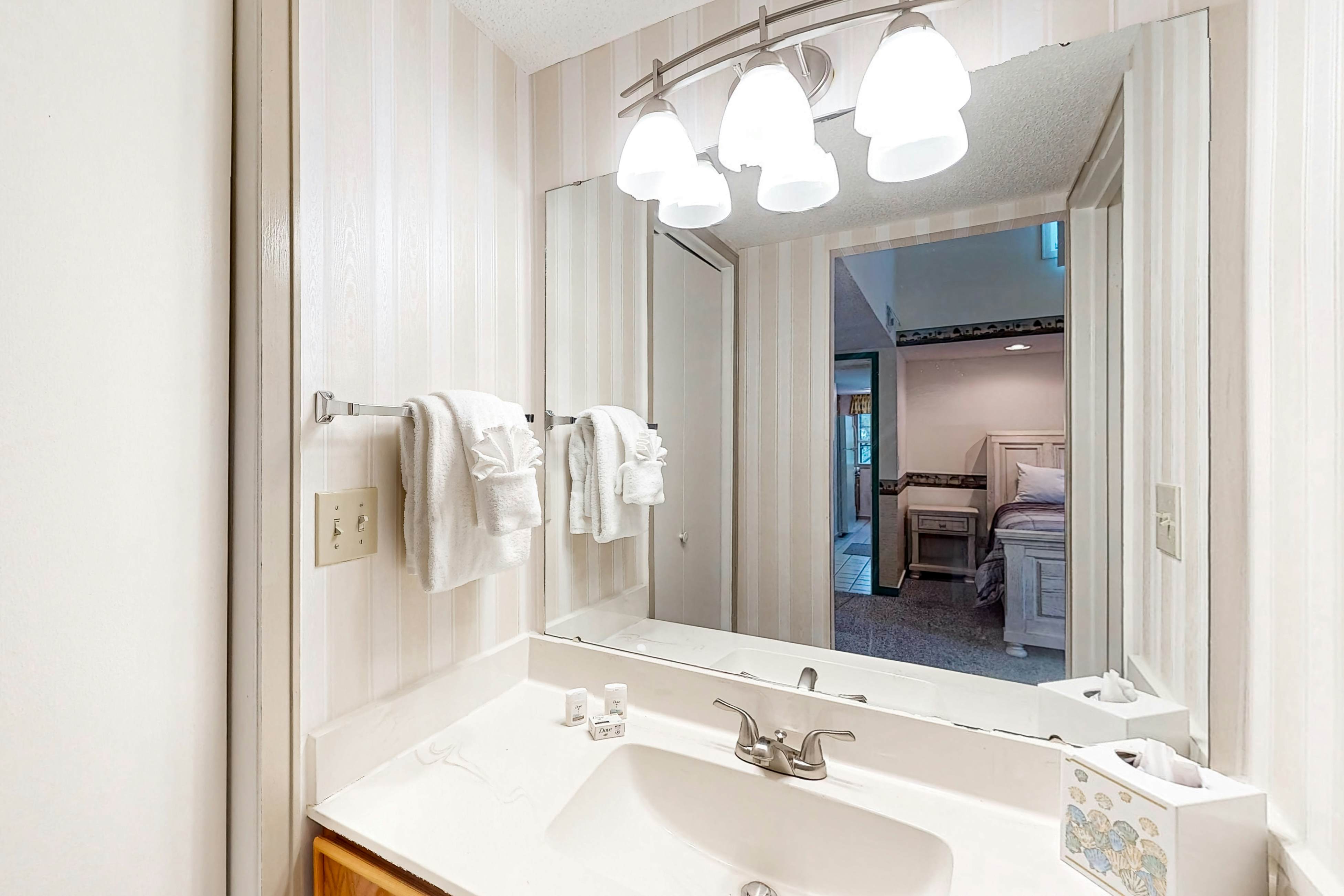 Arcadian Dunes 19-374