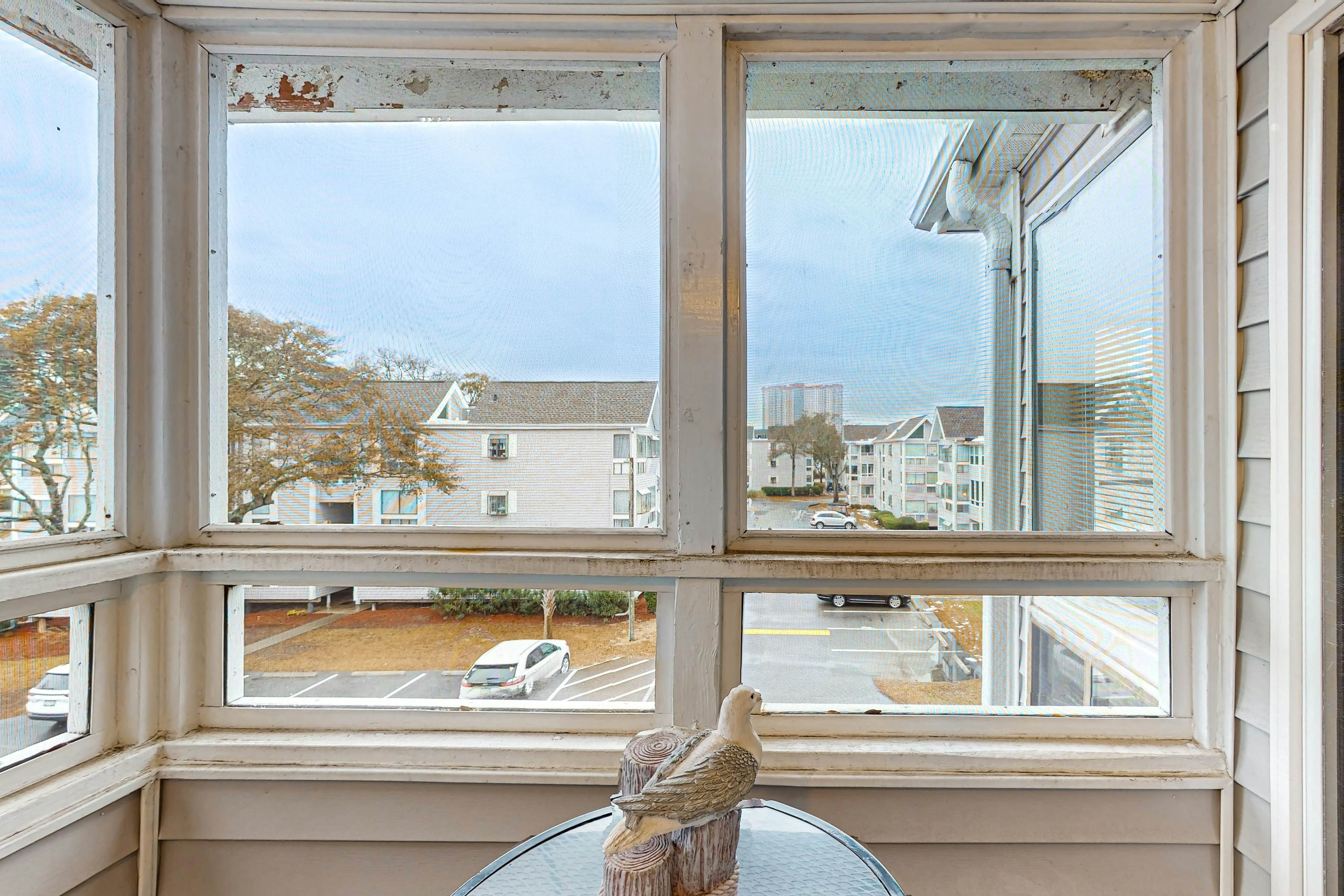 Arcadian Dunes 19-374