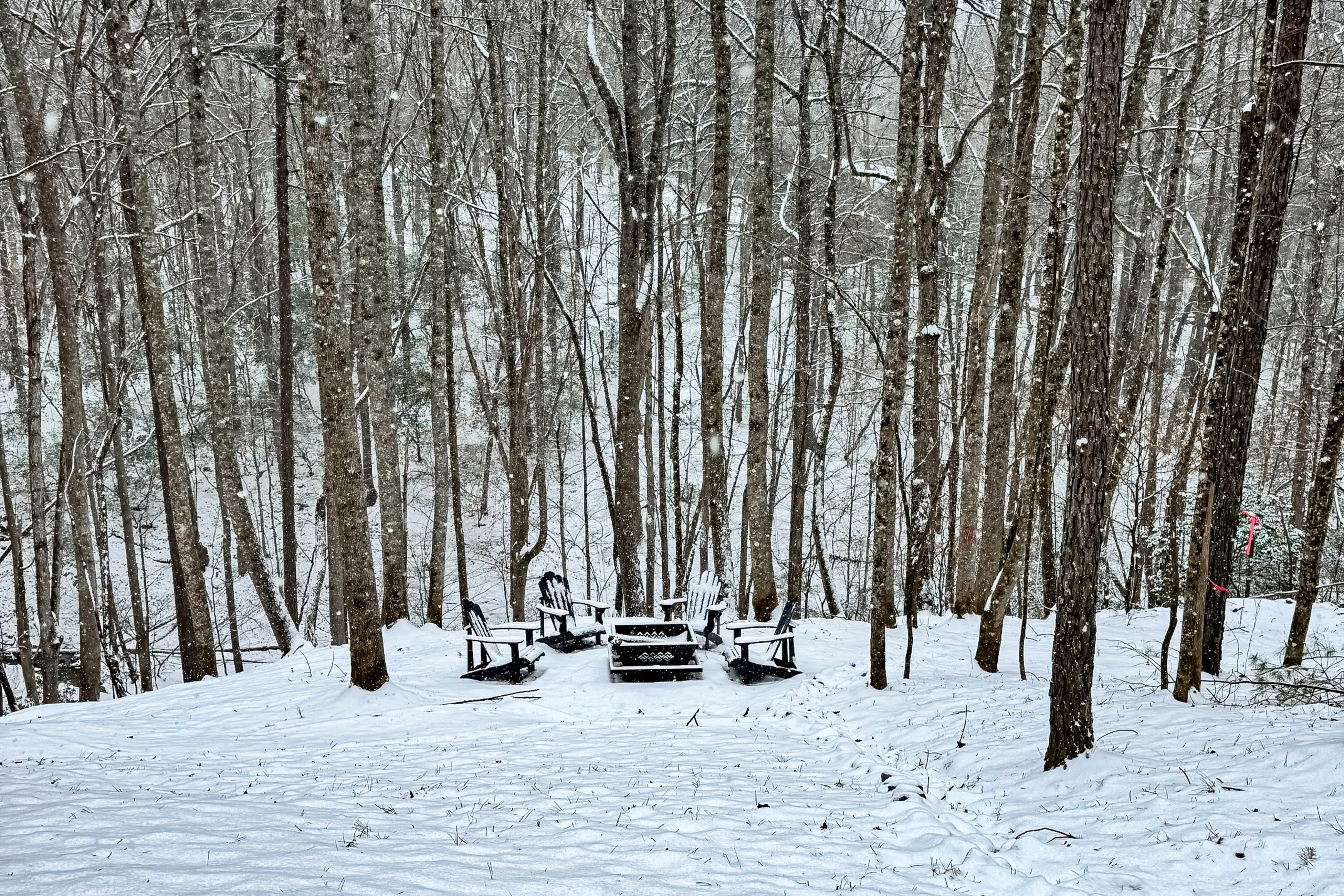 Rustic Elegance of Ellijay