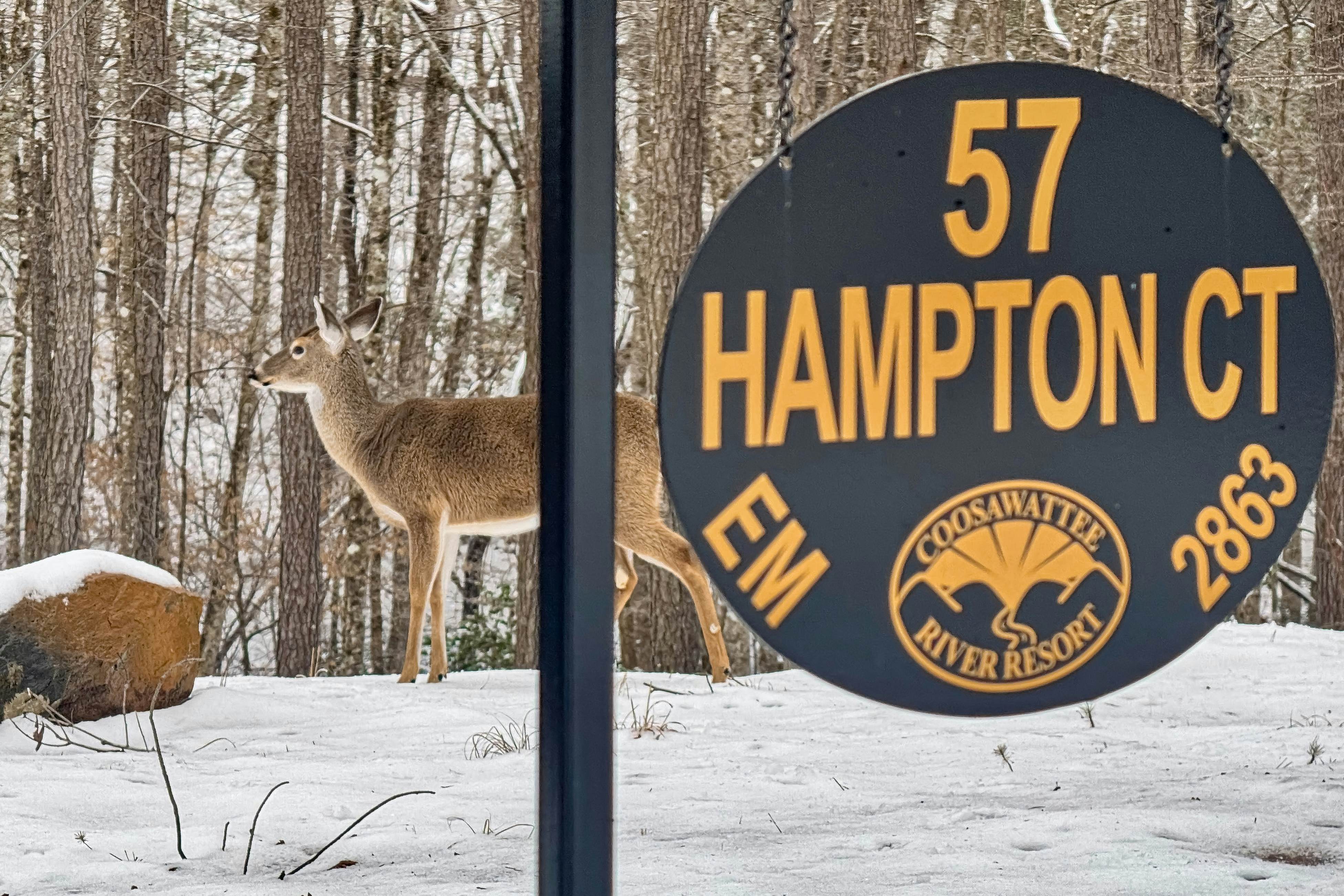 Rustic Elegance of Ellijay