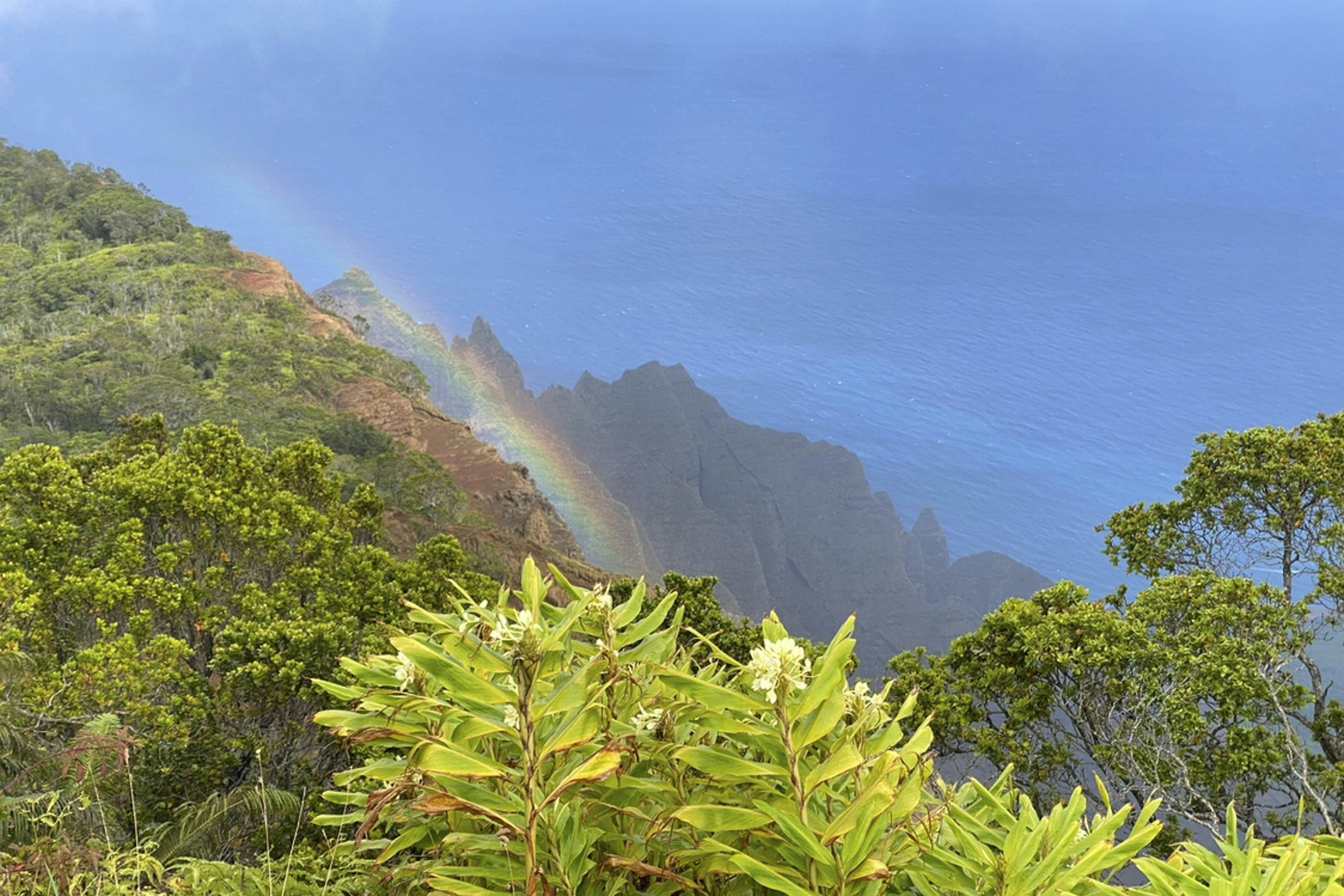 Islander on the Beach 354