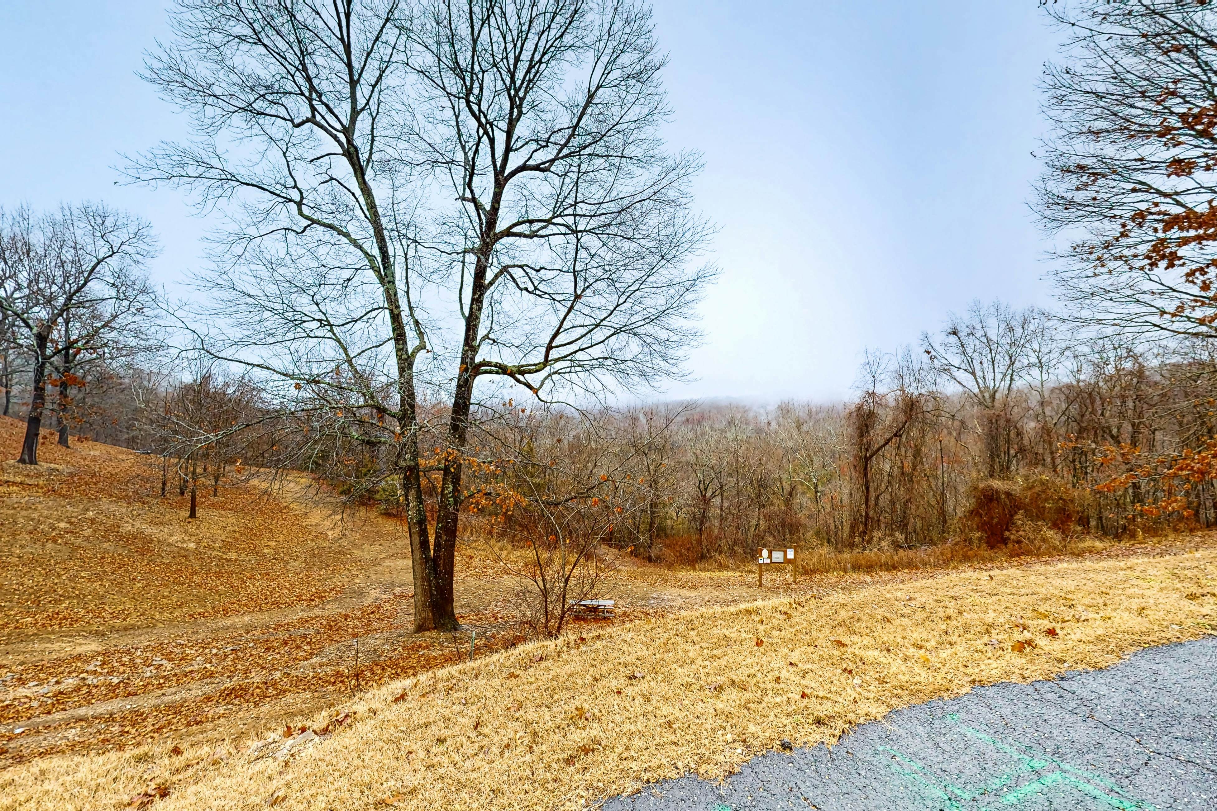 Escape to Notch Estates