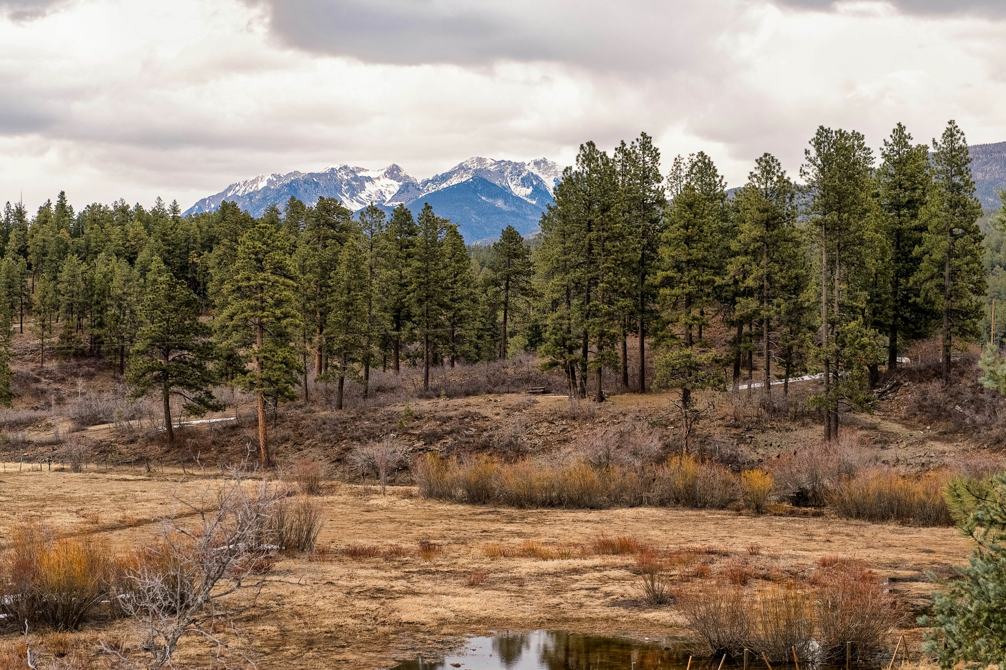 Durango Slopeside at Elkpoint #3