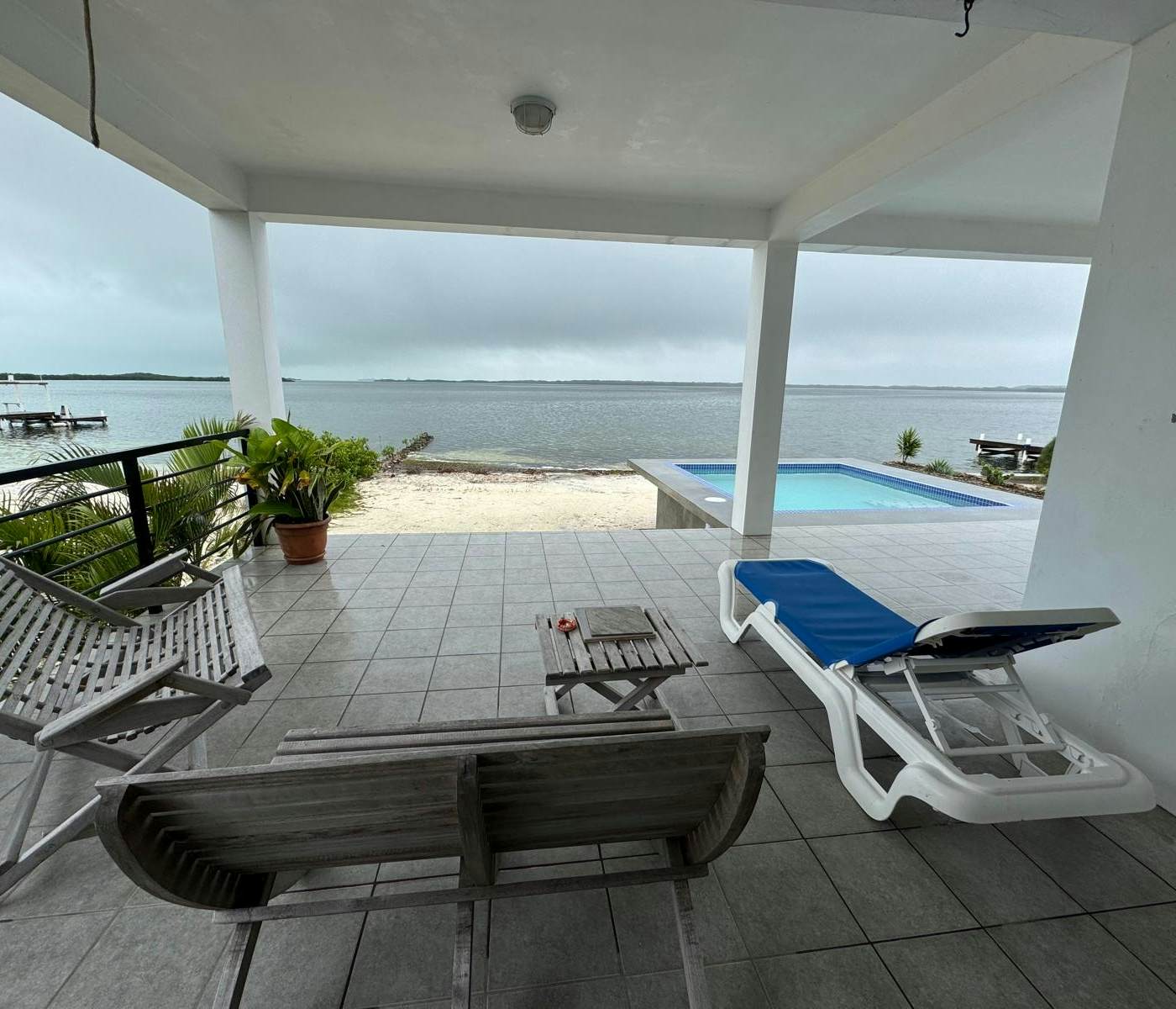 Jackson's Paradiso -Gold Standard Certified