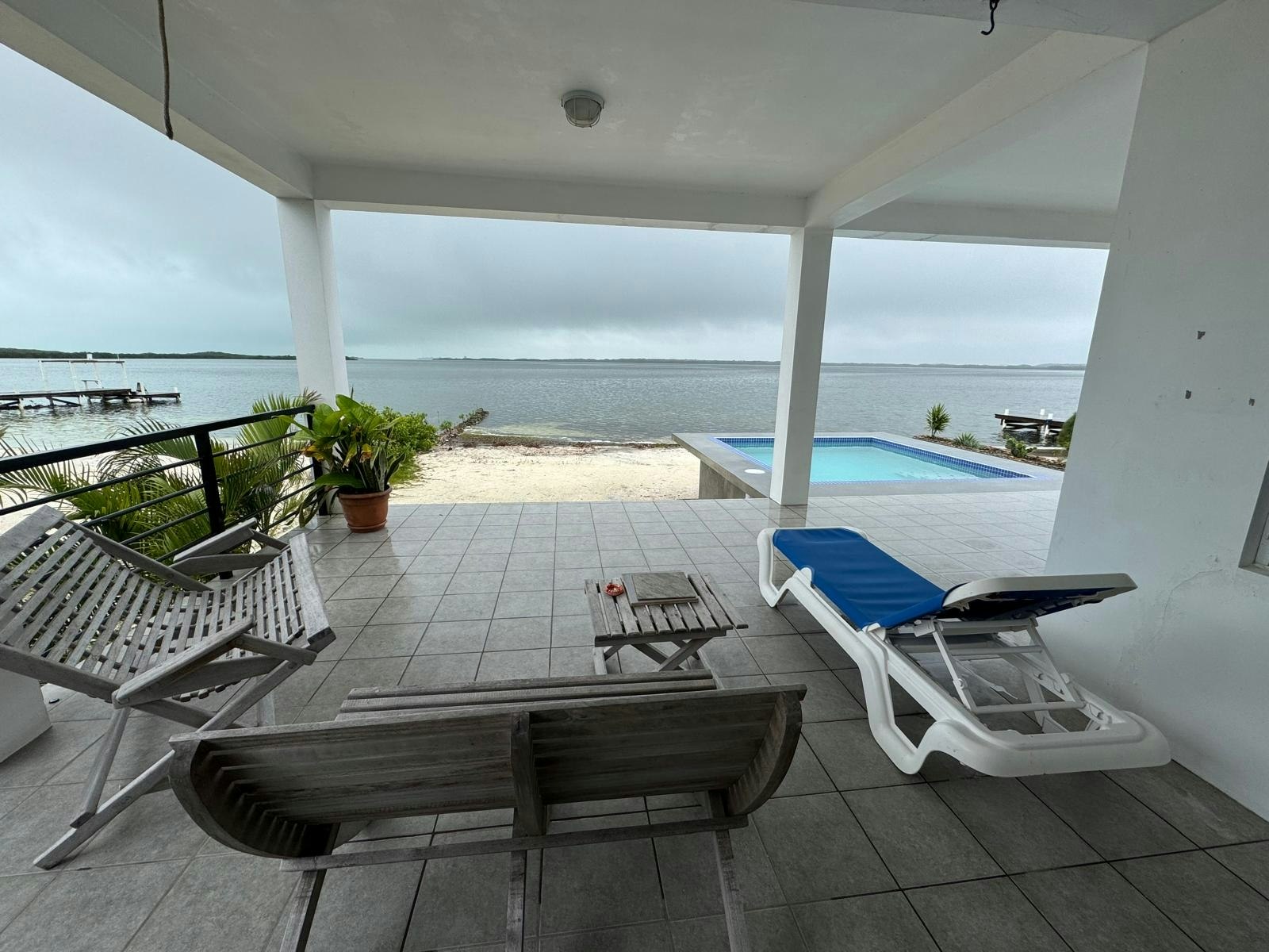 Jackson's Paradiso -Gold Standard Certified