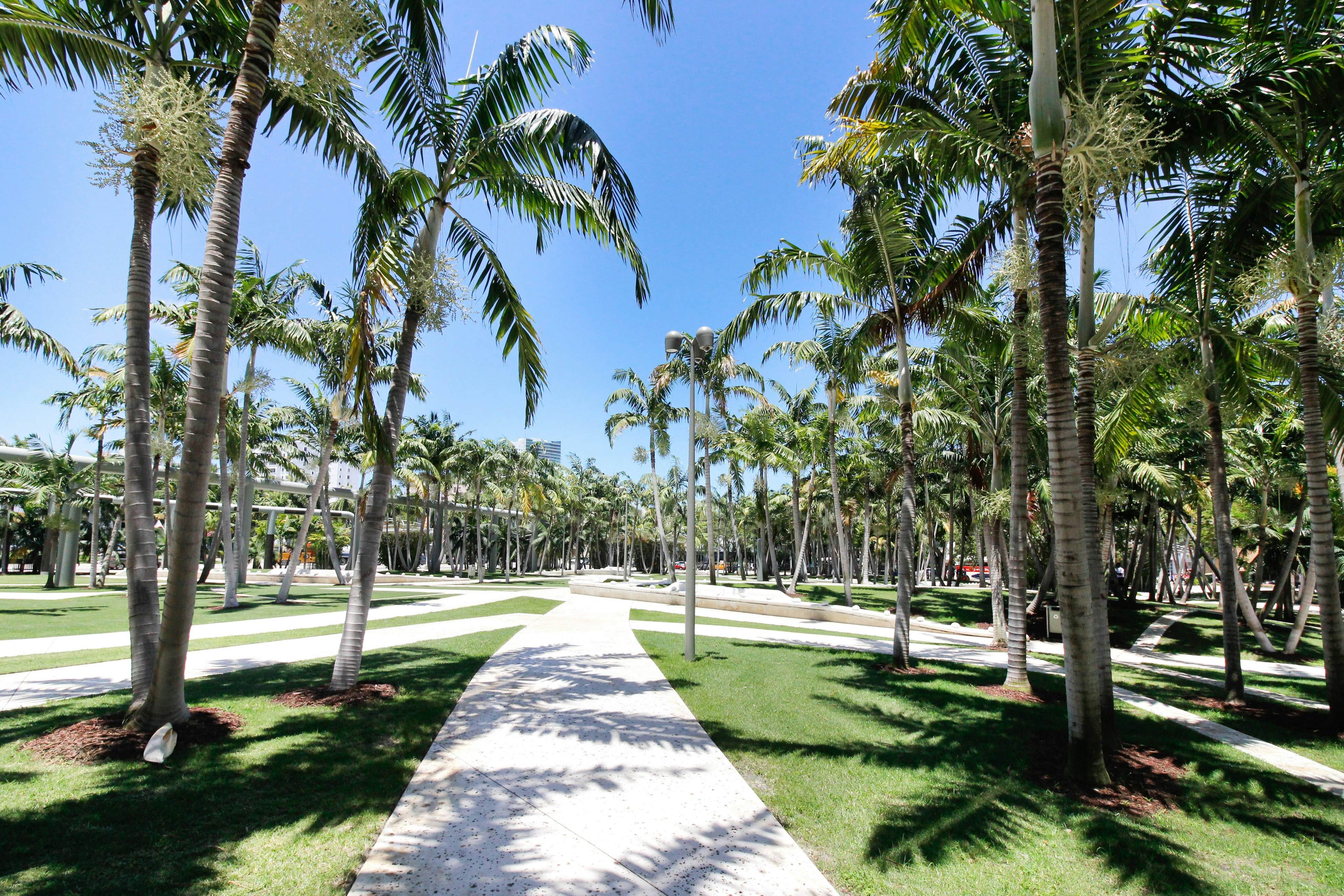 Beachside Bliss Estate 4801