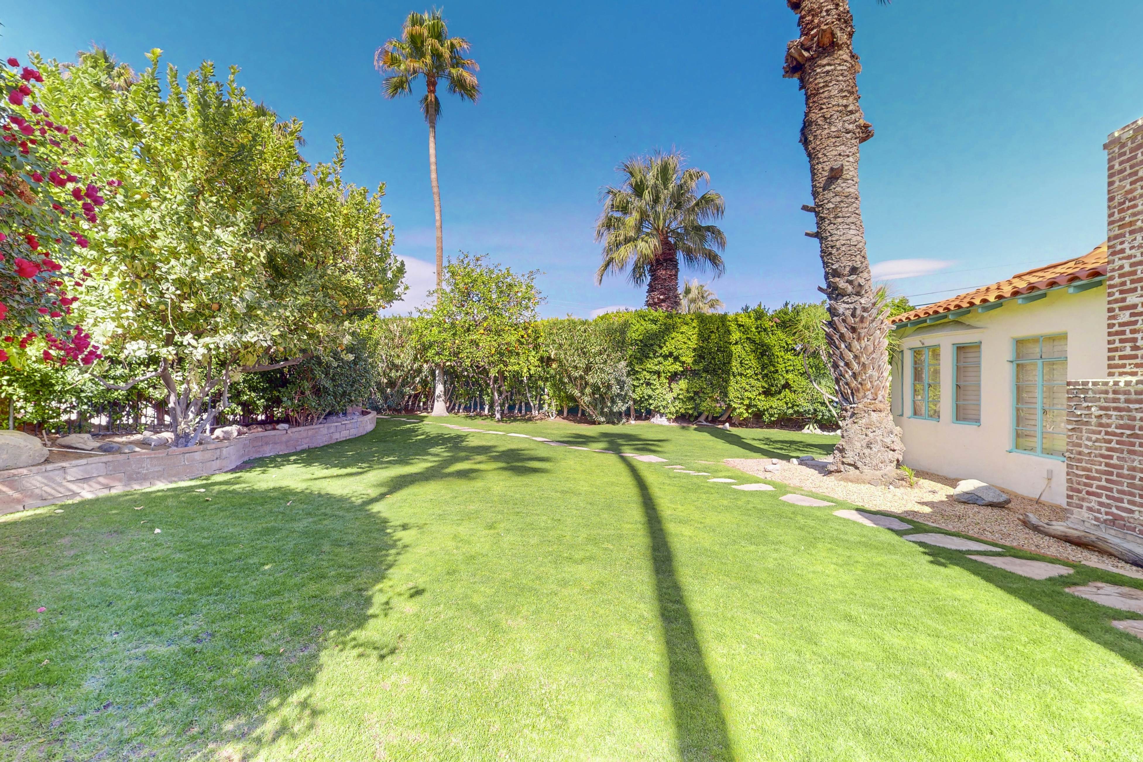 Historic Palm Springs Oasis - 3039