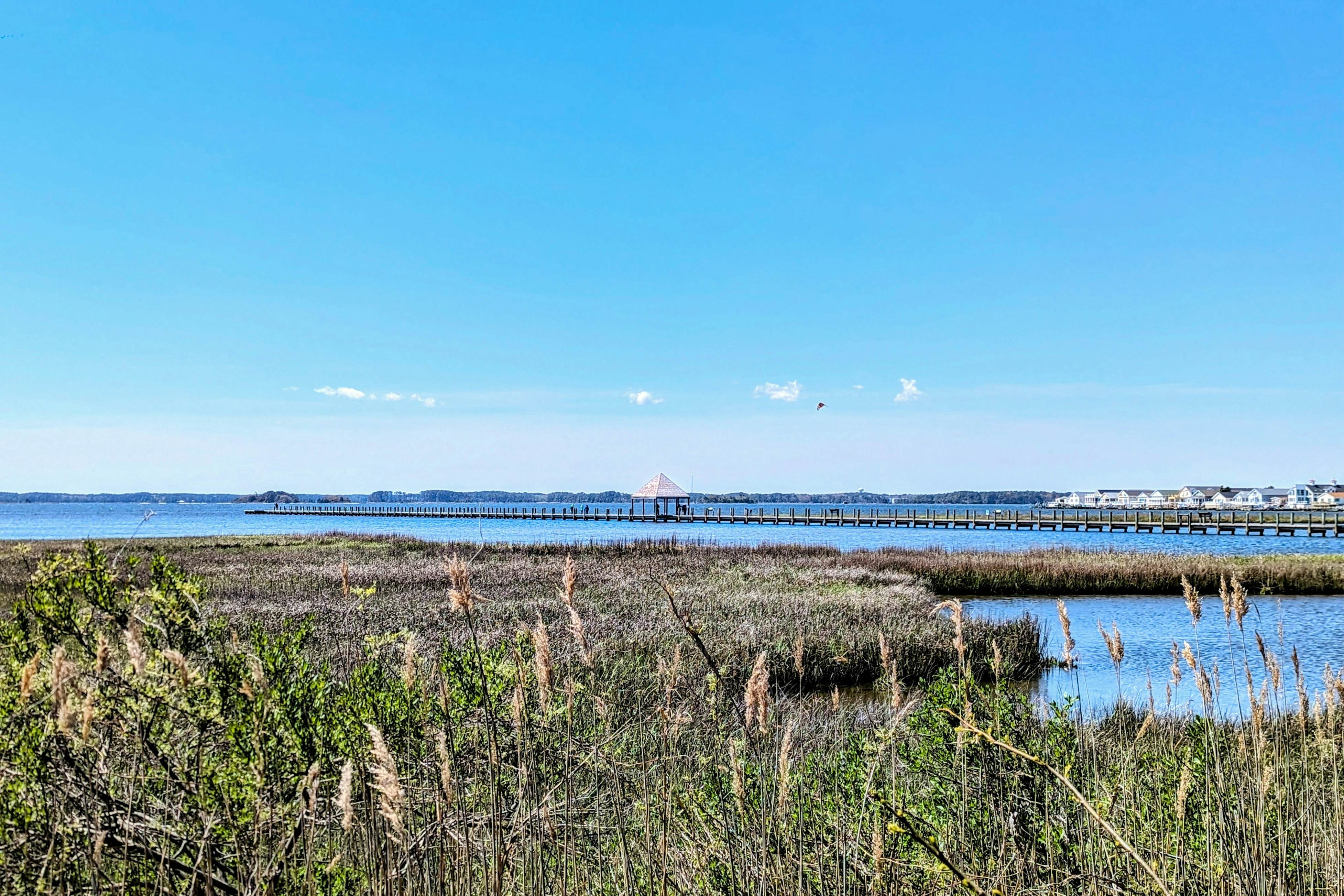 309 White Heron Court