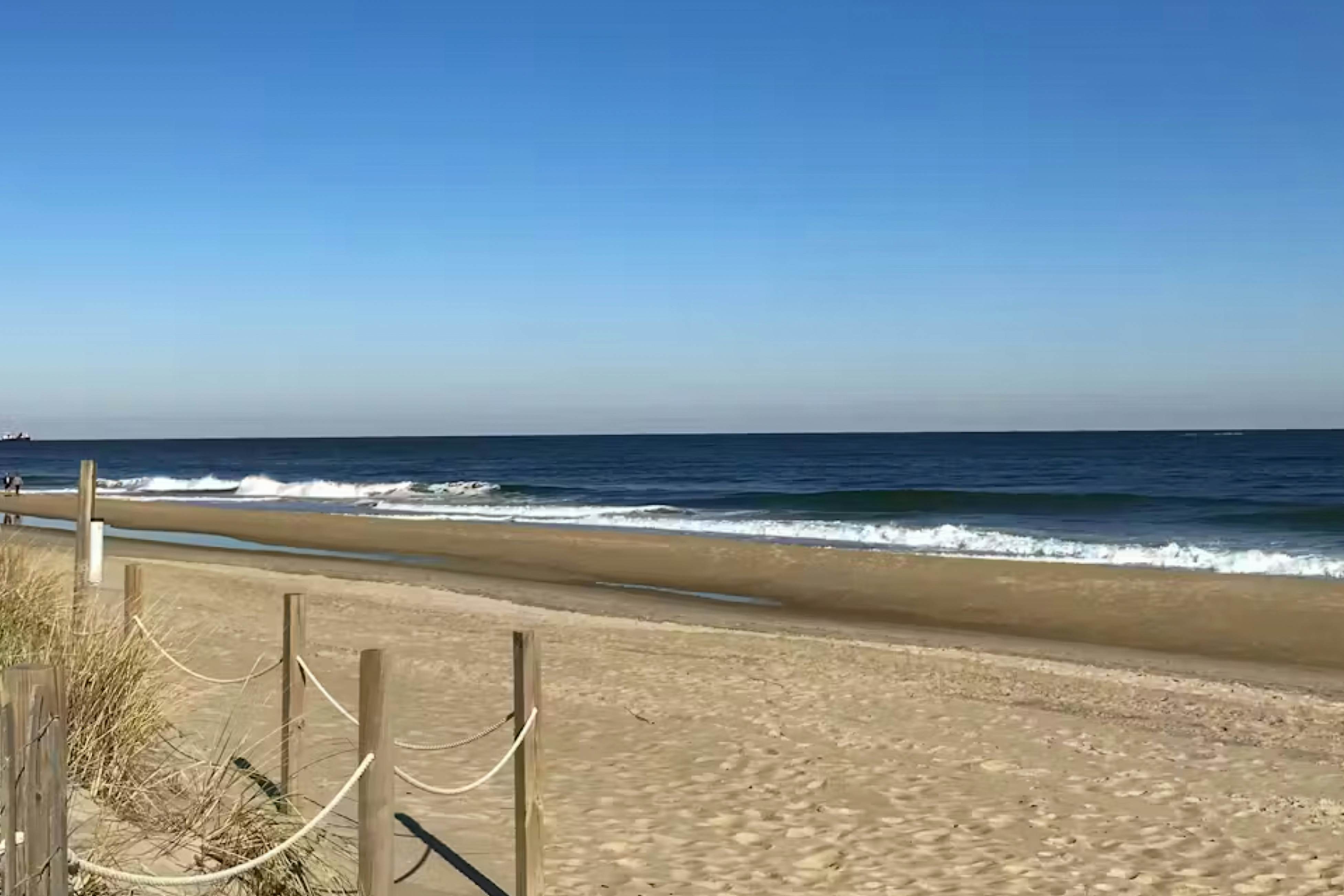 309 White Heron Court