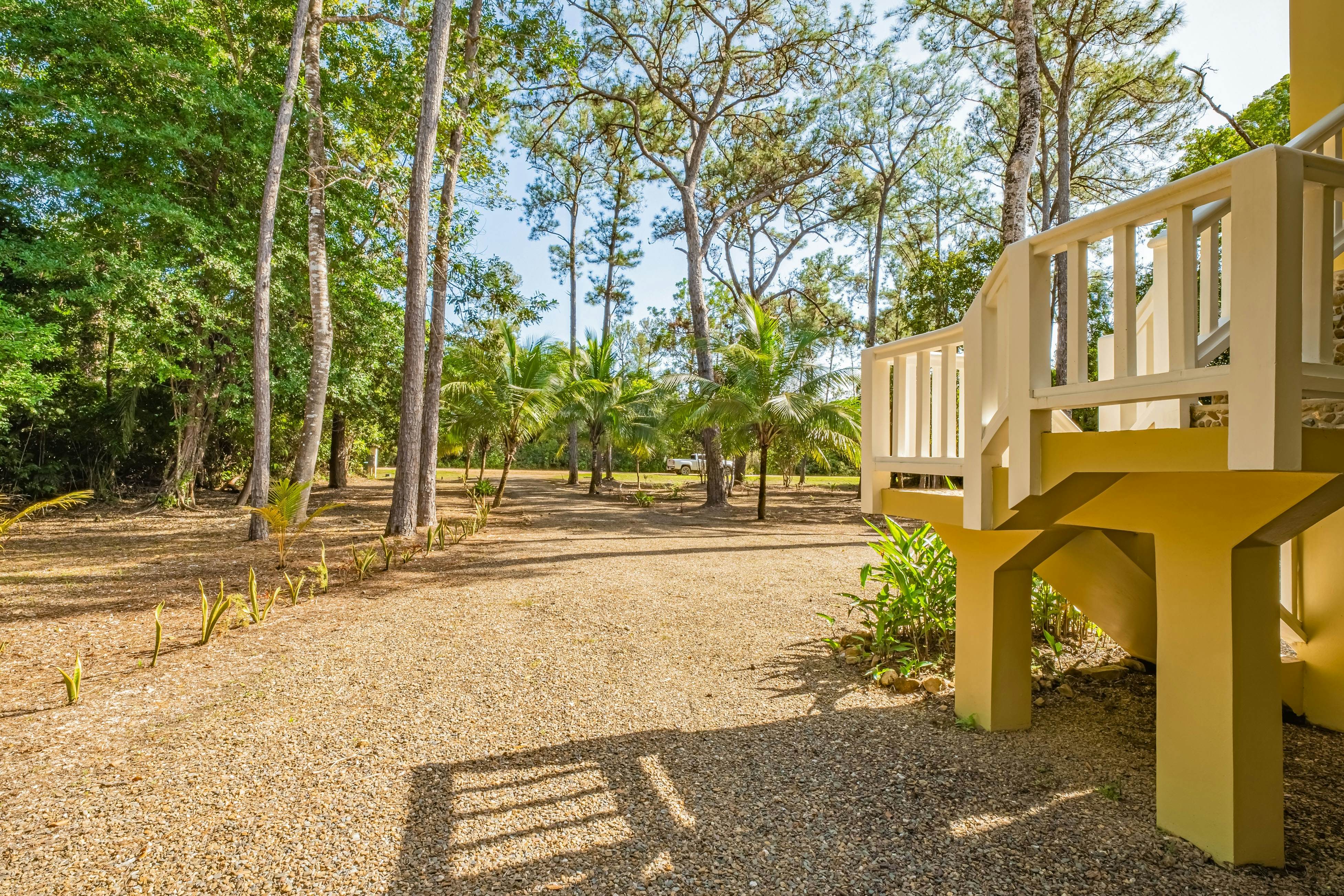 Treehouse at Sanctuary Belize