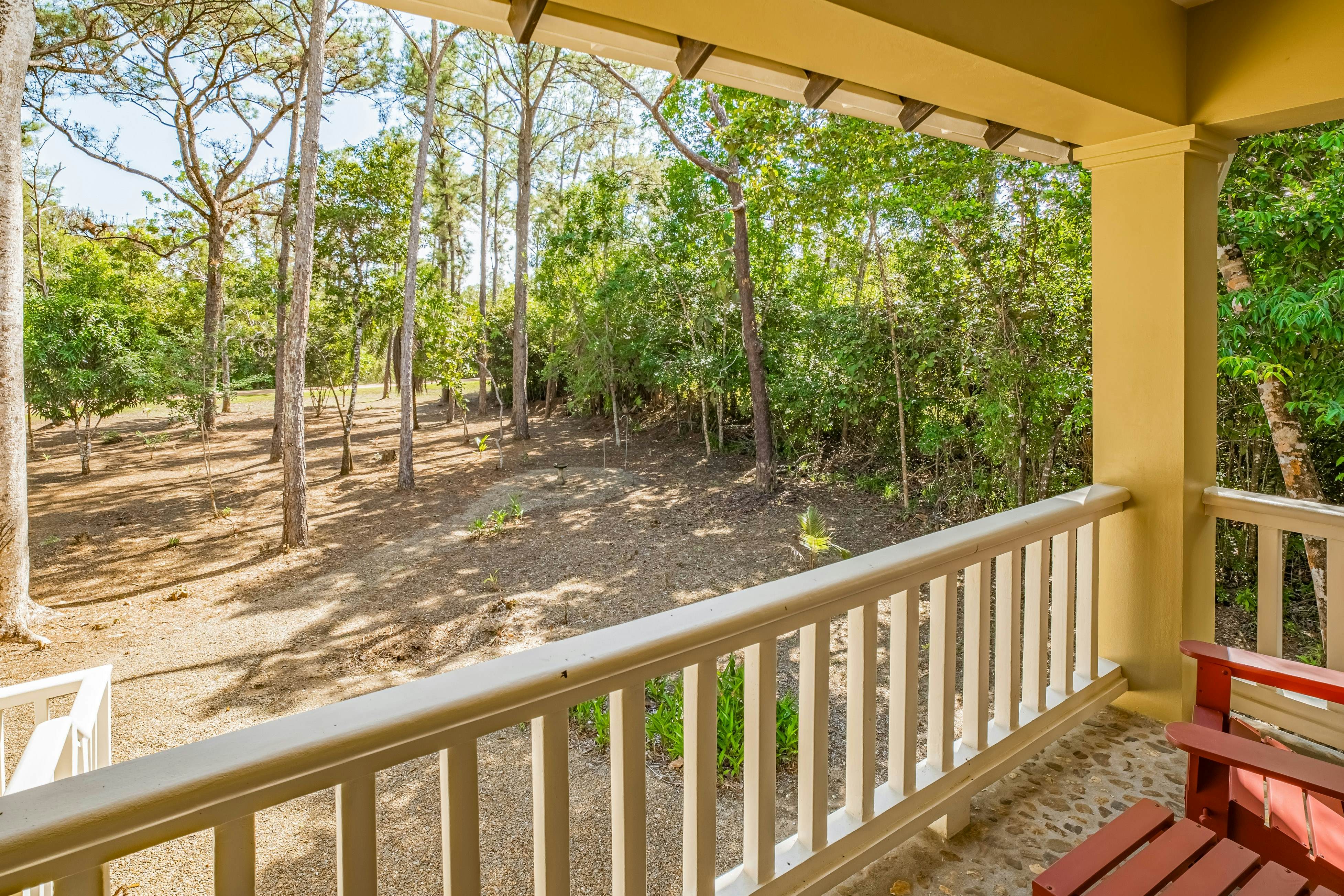 Treehouse at Sanctuary Belize