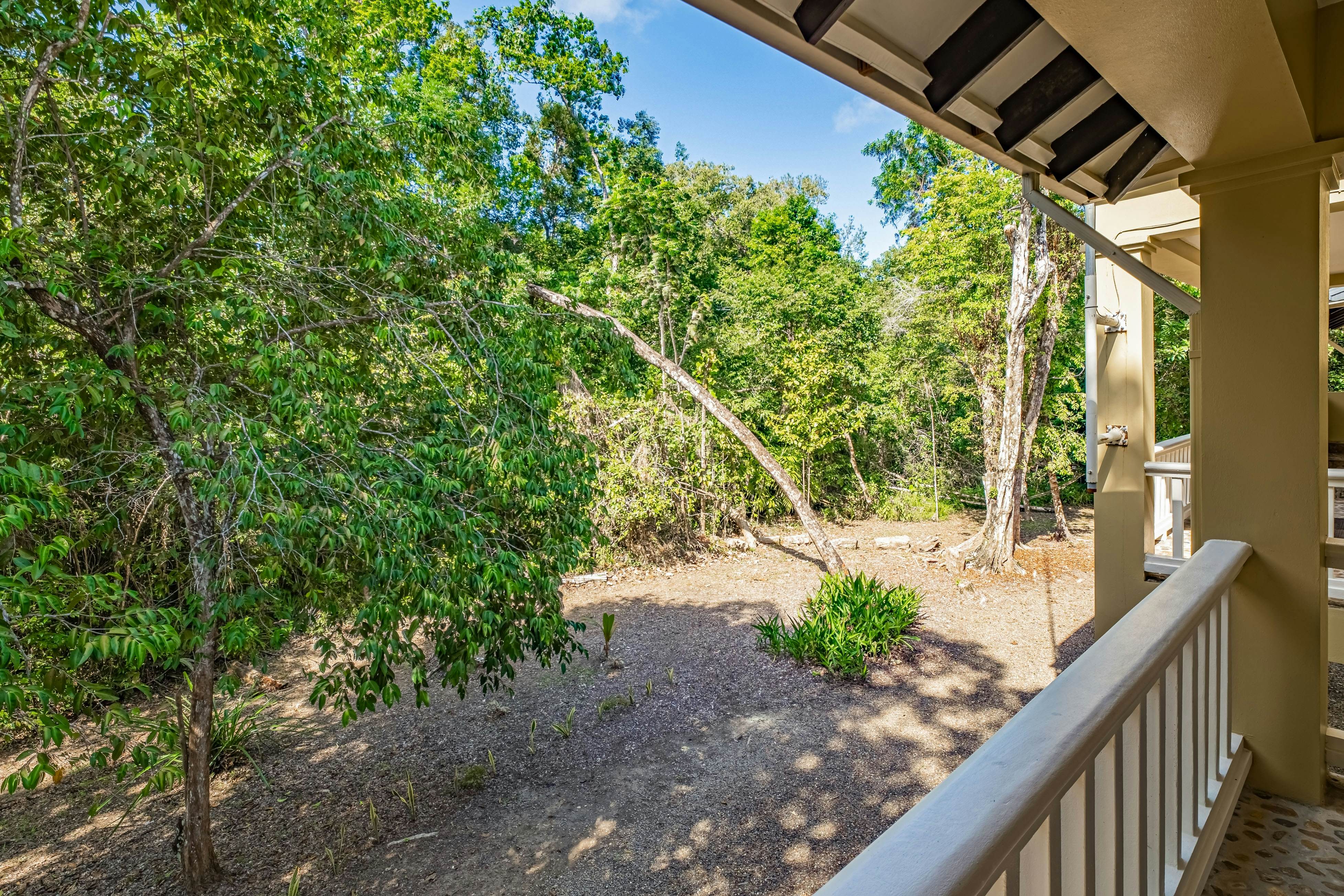 Treehouse at Sanctuary Belize