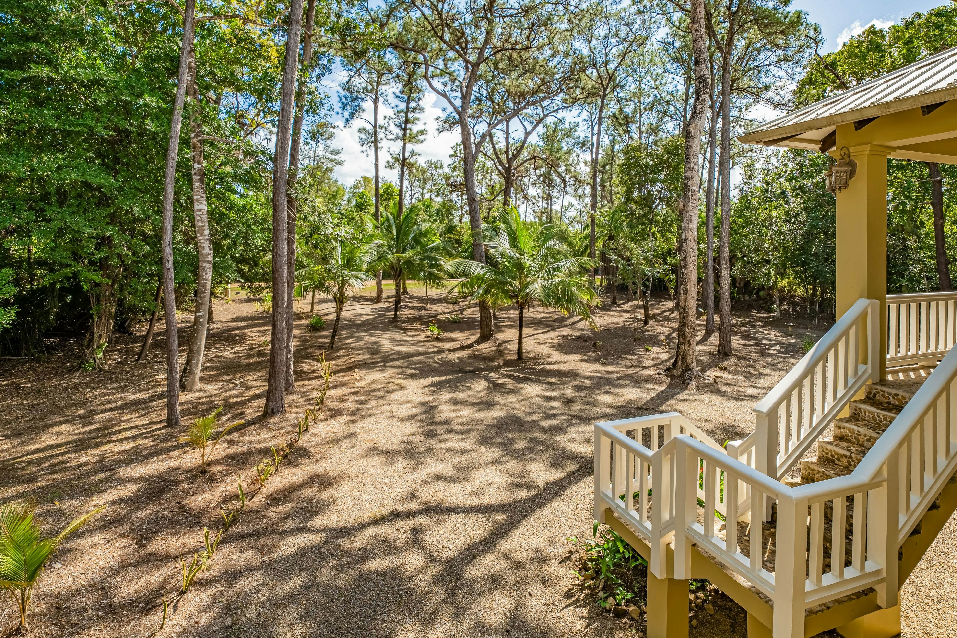 Treehouse at Sanctuary Belize