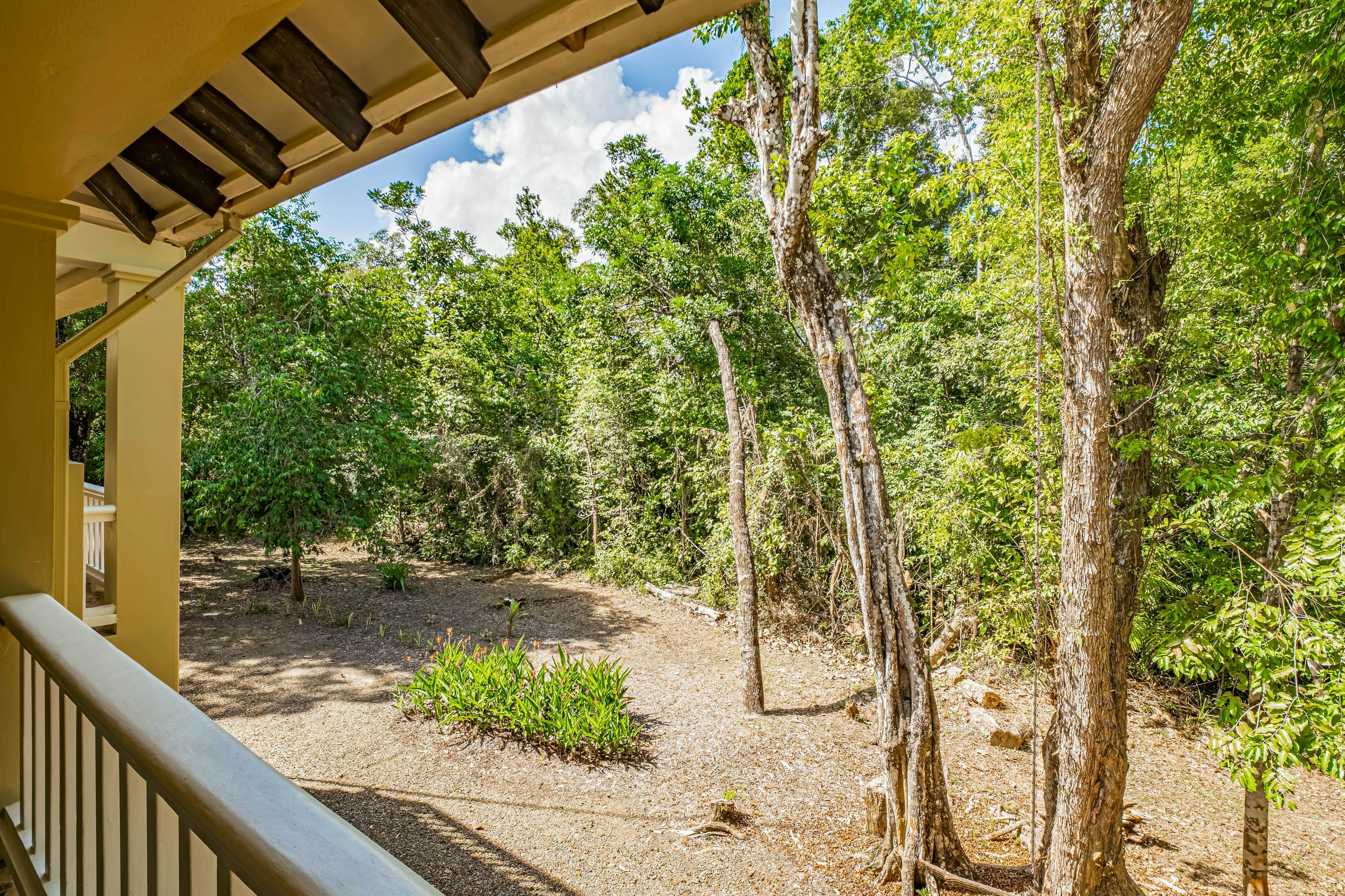 Treehouse at Sanctuary Belize