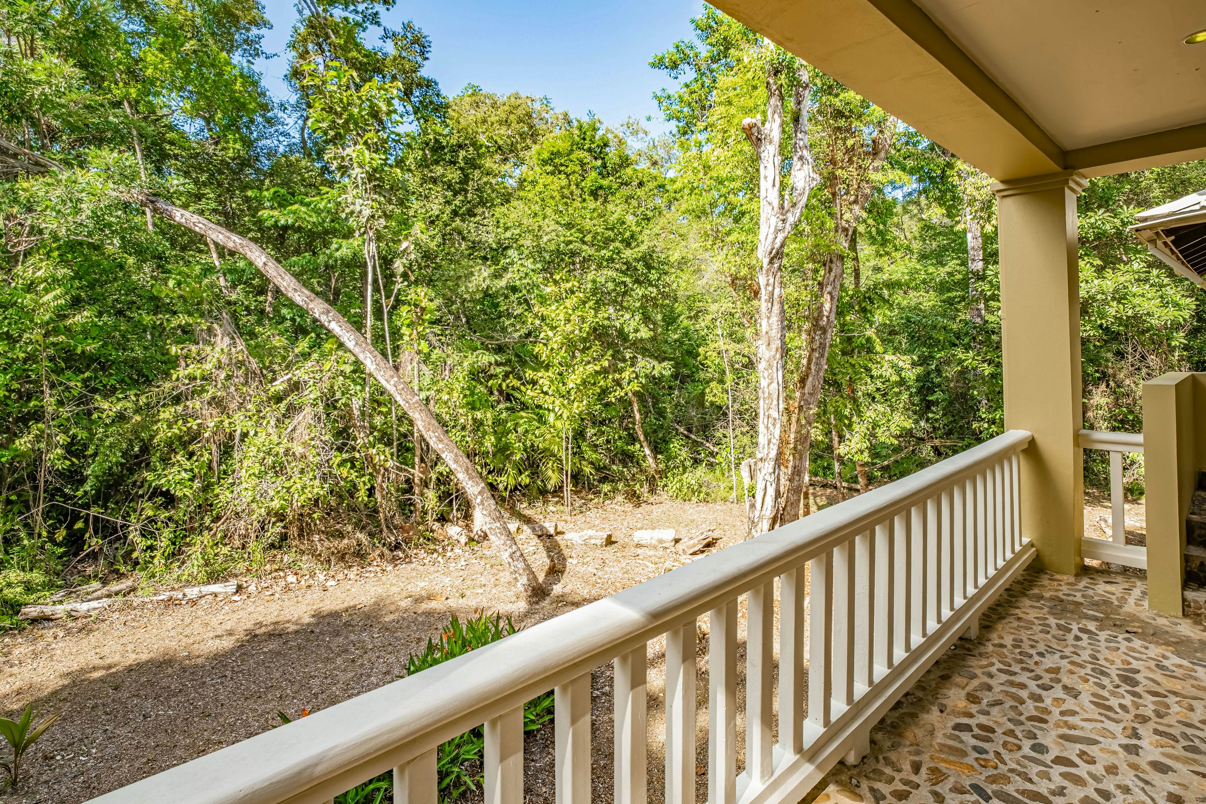 Treehouse at Sanctuary Belize
