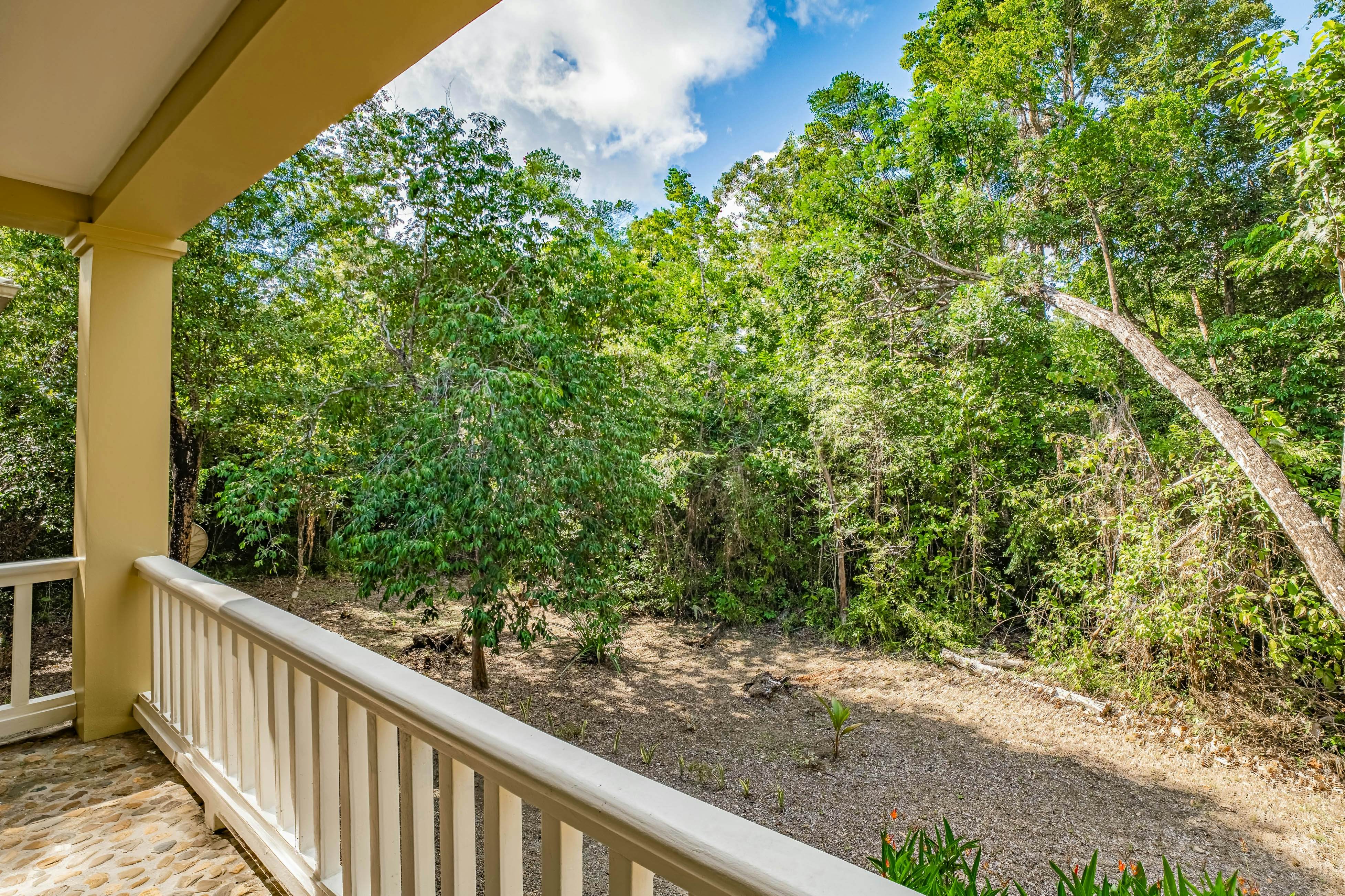 Treehouse at Sanctuary Belize