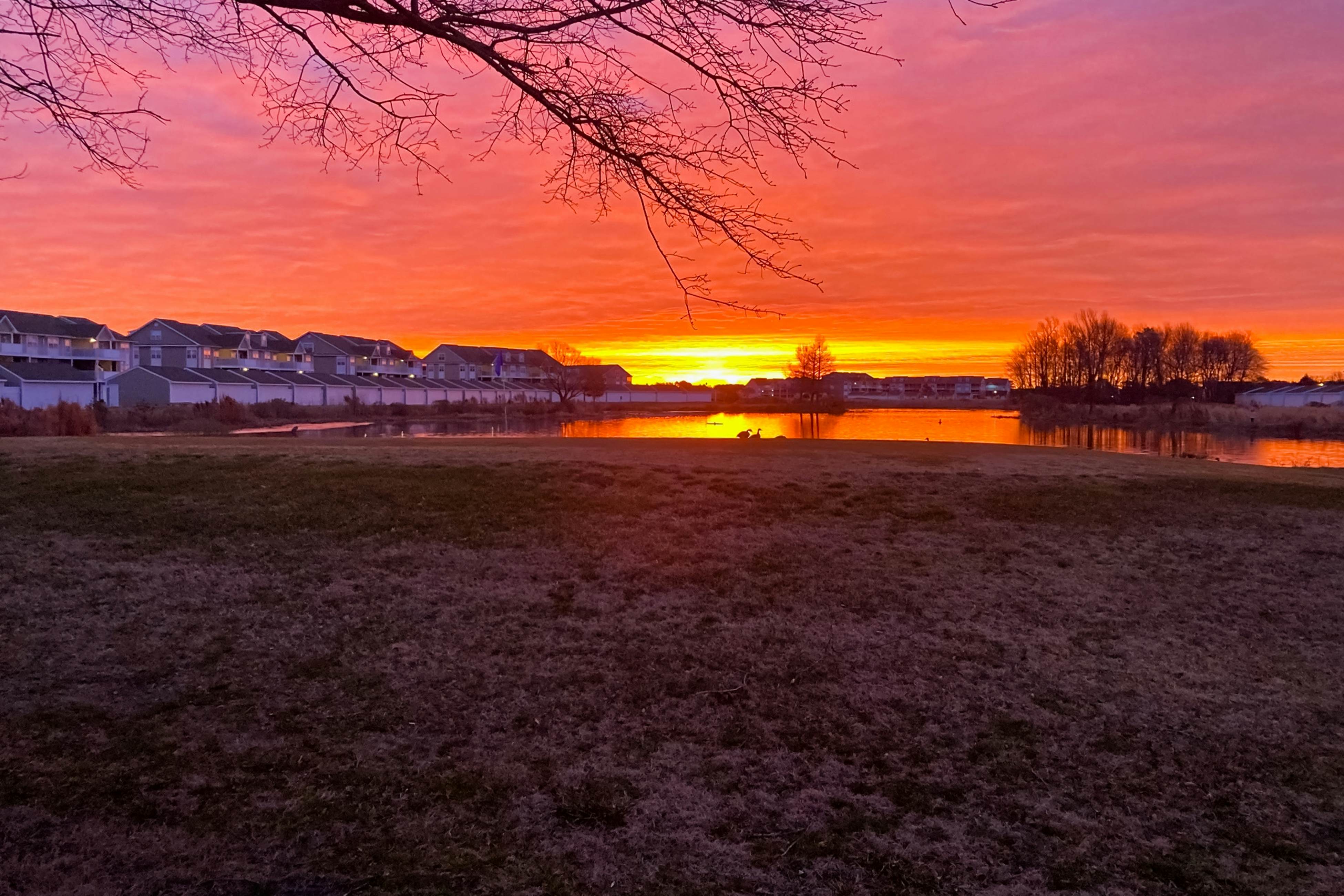 Bethany Bay - 37460 Pettinaro Dr #6801