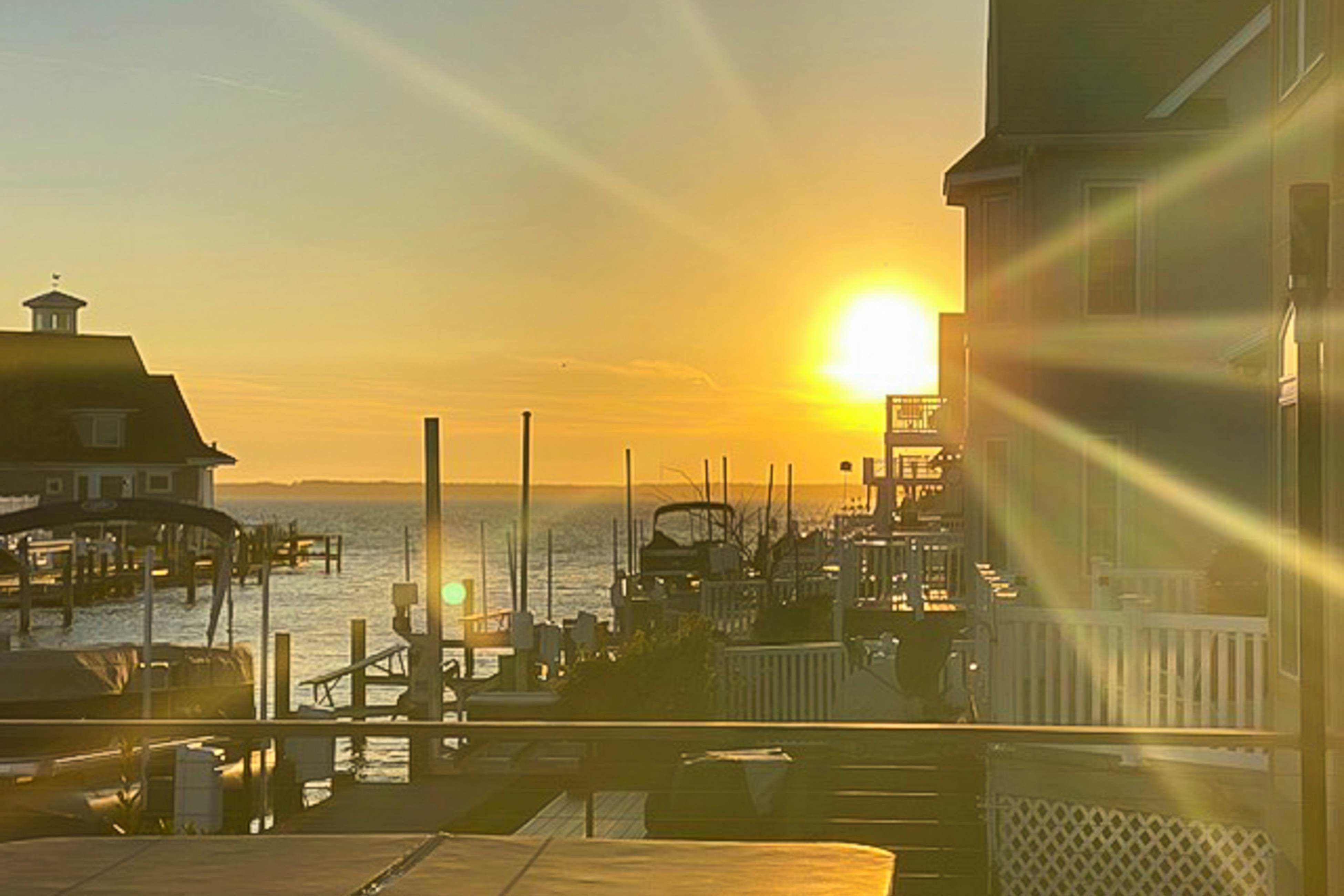 309 White Heron Court