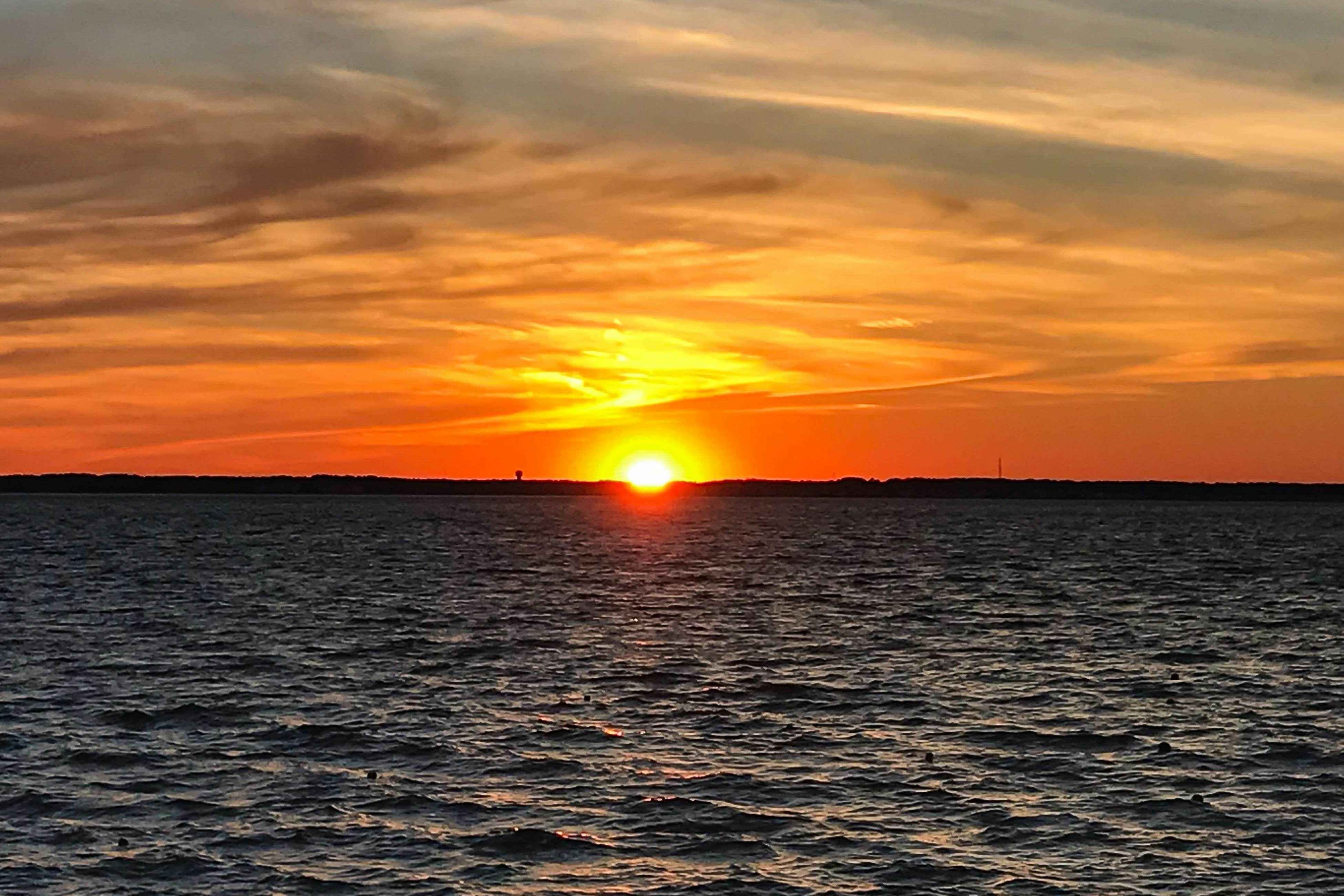 309 White Heron Court