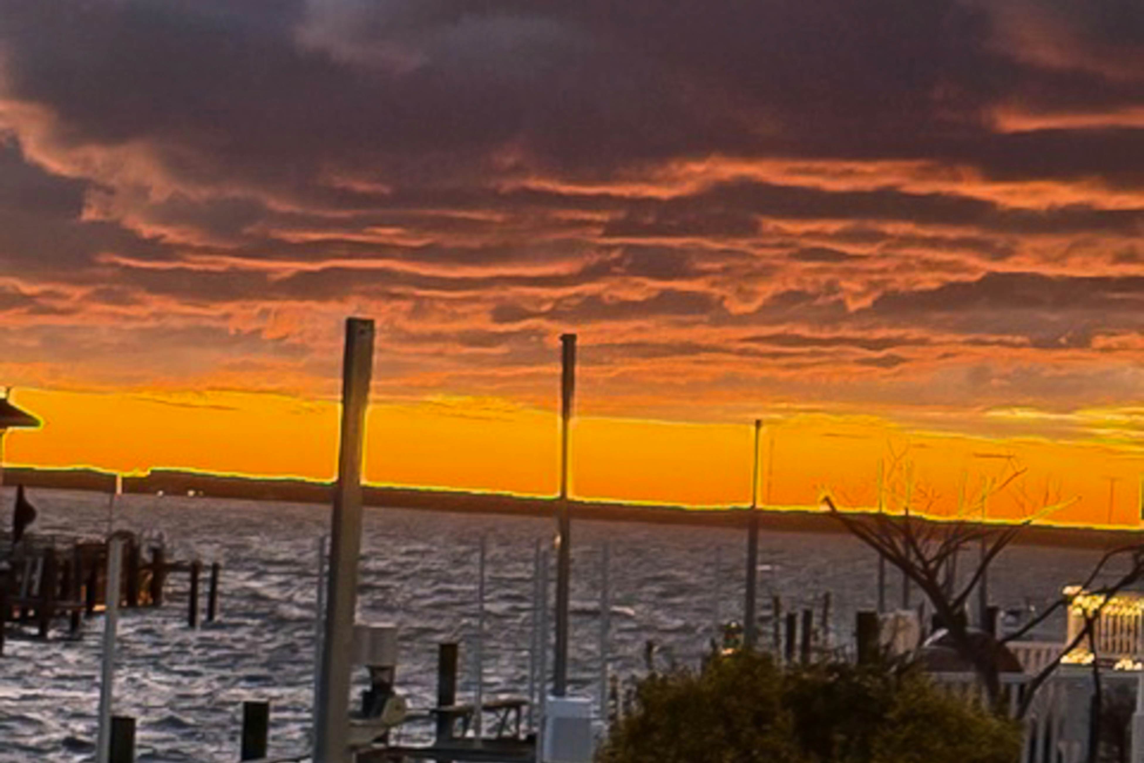 309 White Heron Court