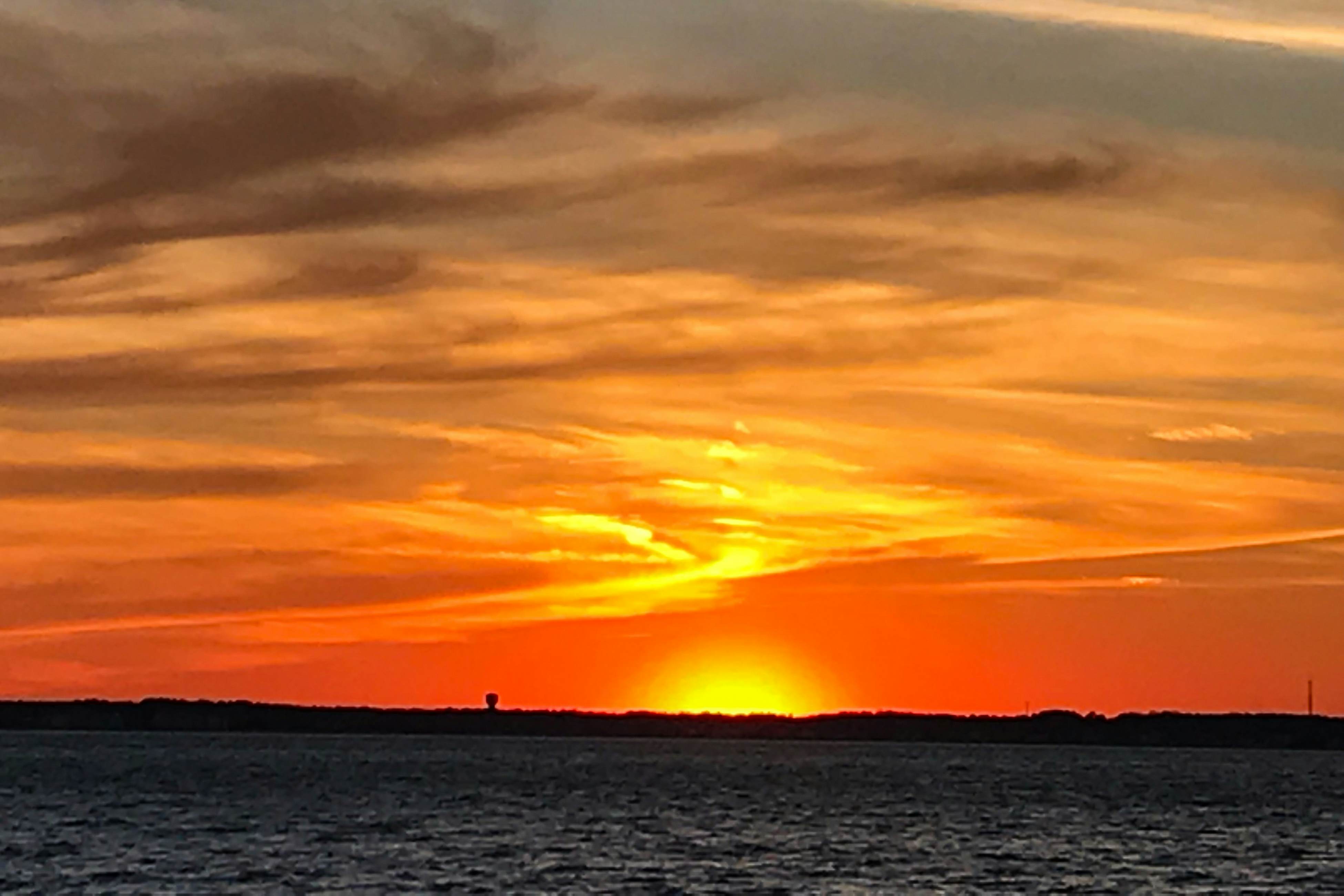 309 White Heron Court