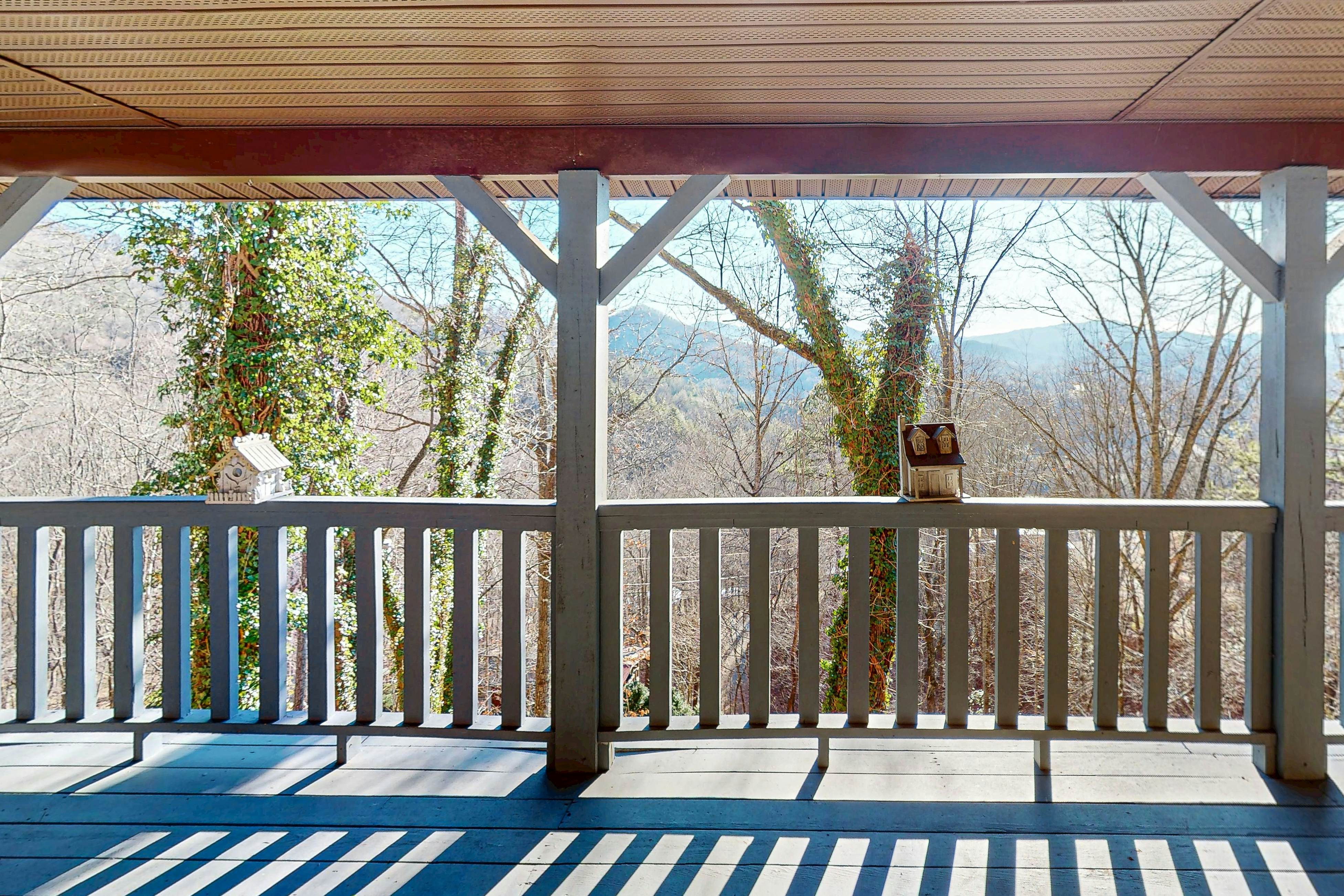 Modern Mountain View