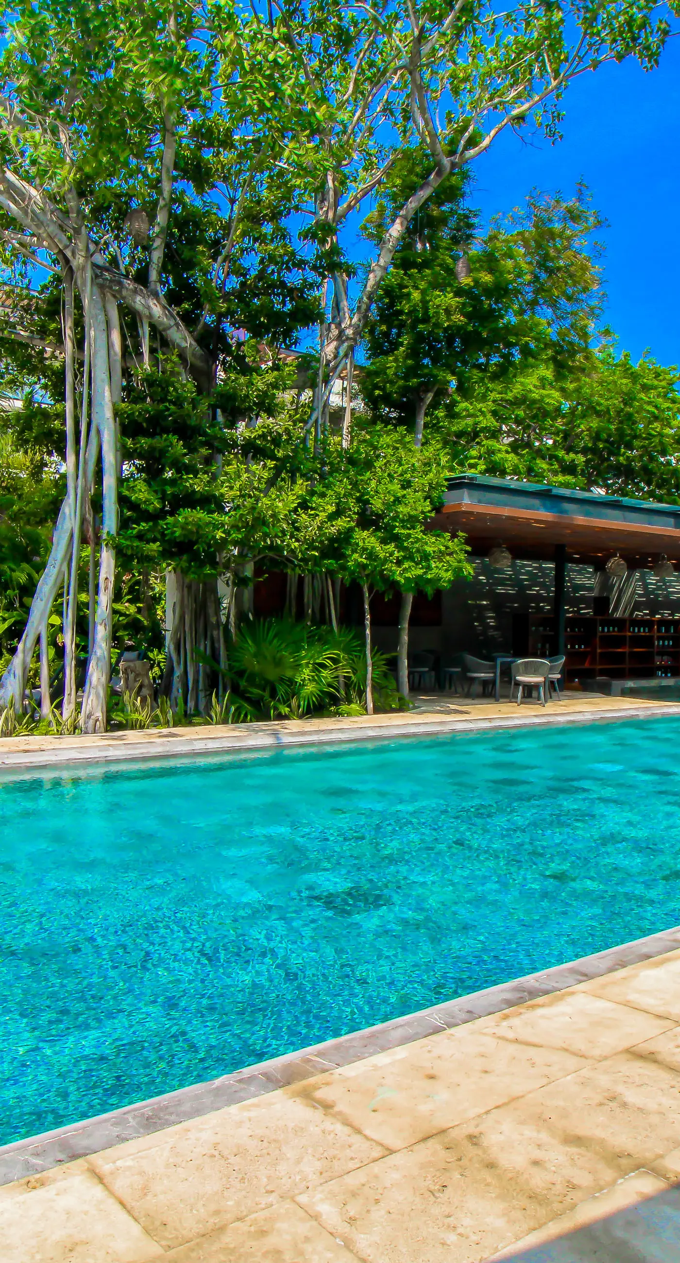 Lush Escape at Awa Playacar