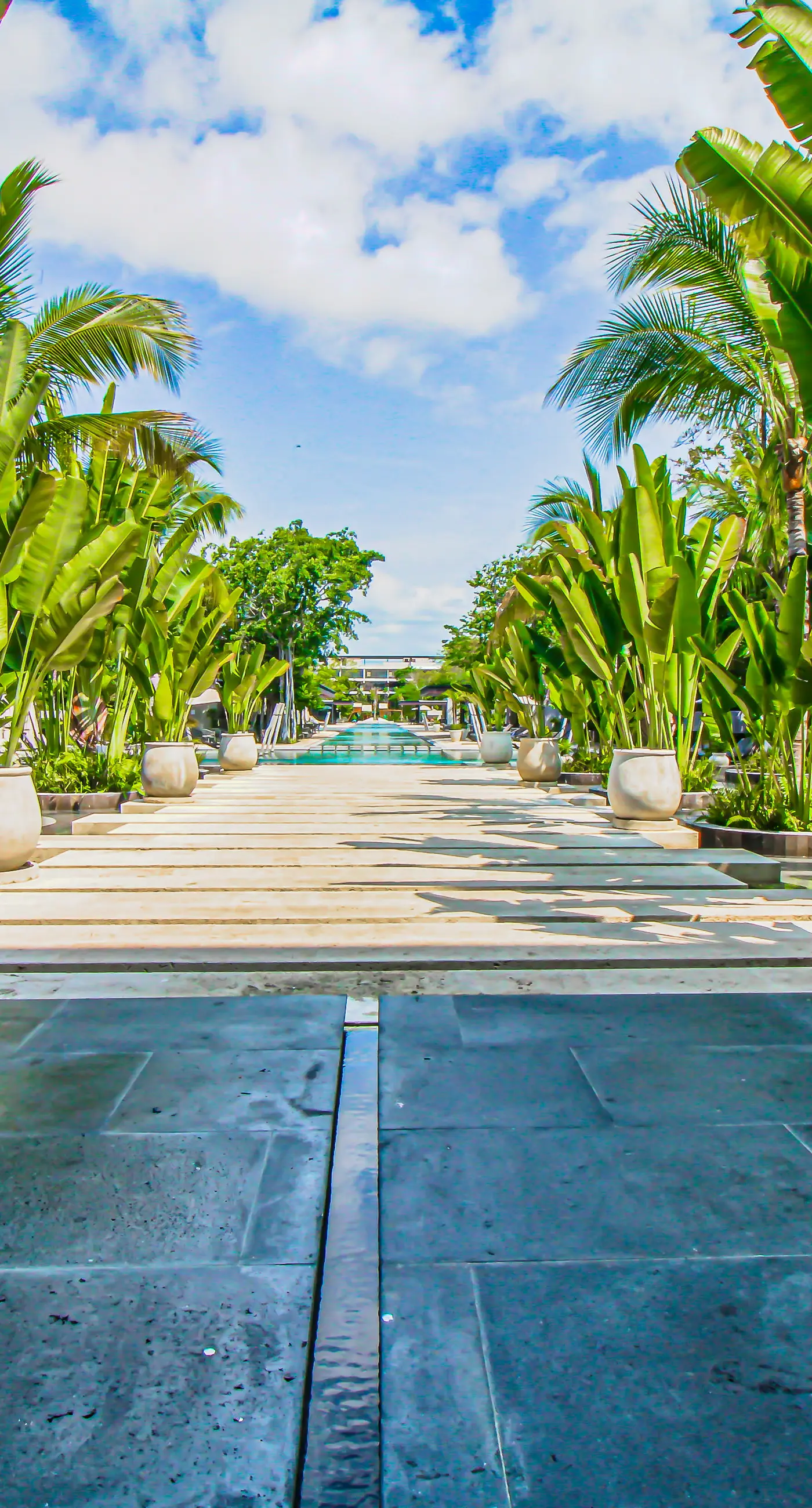 Lush Escape at Awa Playacar