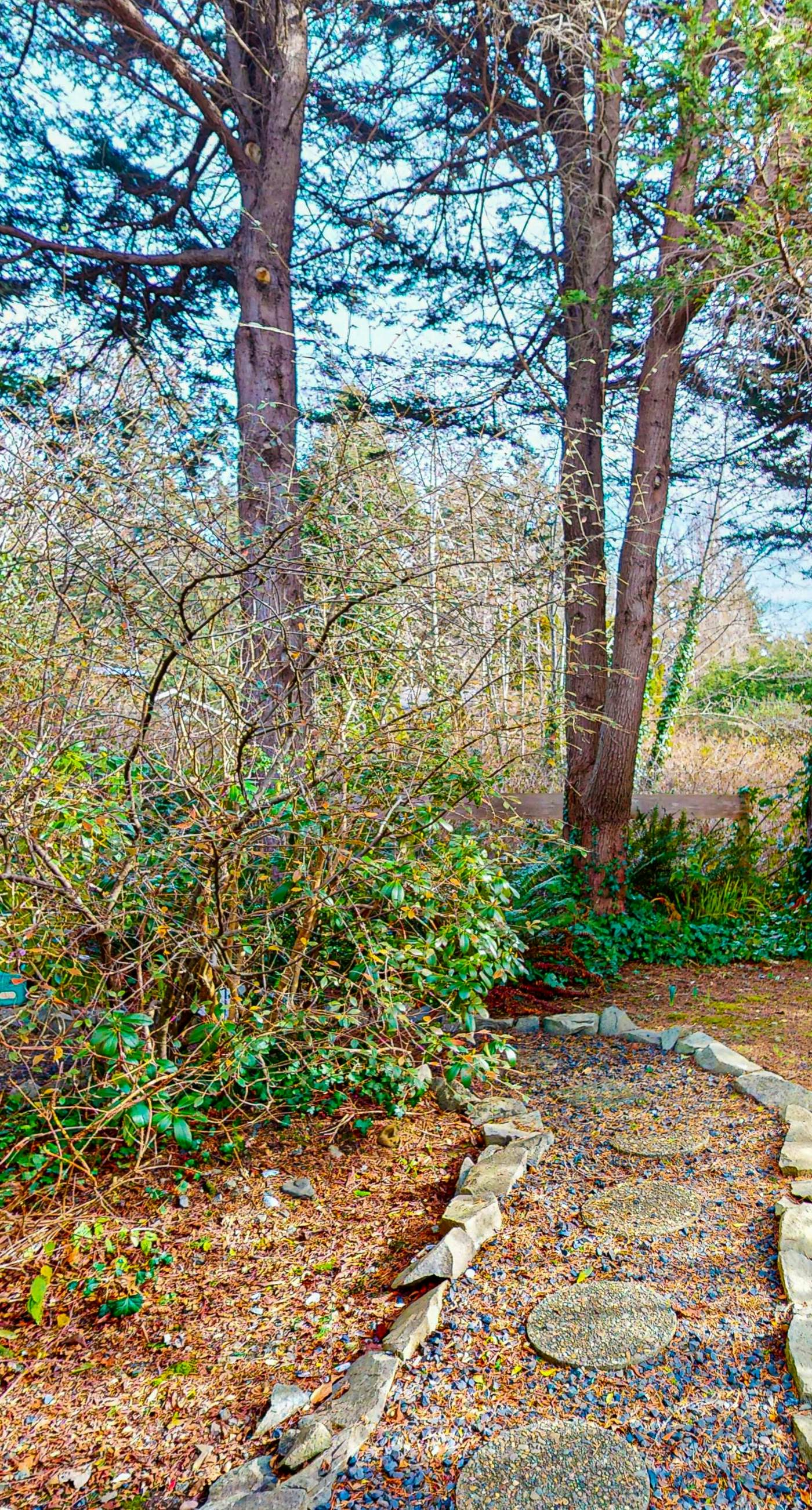 Surf Dome at Otter Rock