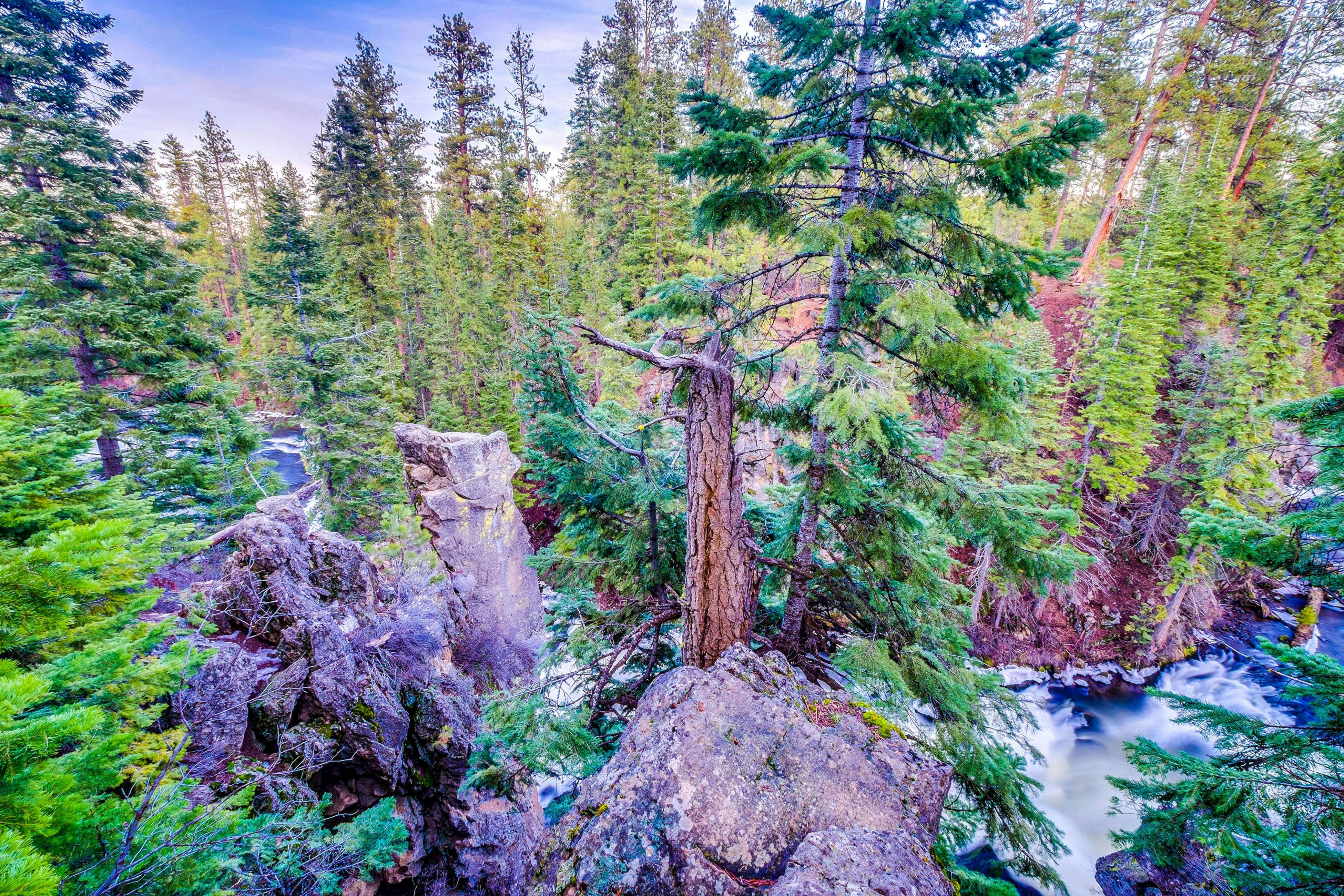 Serenity at Seventh Mountain