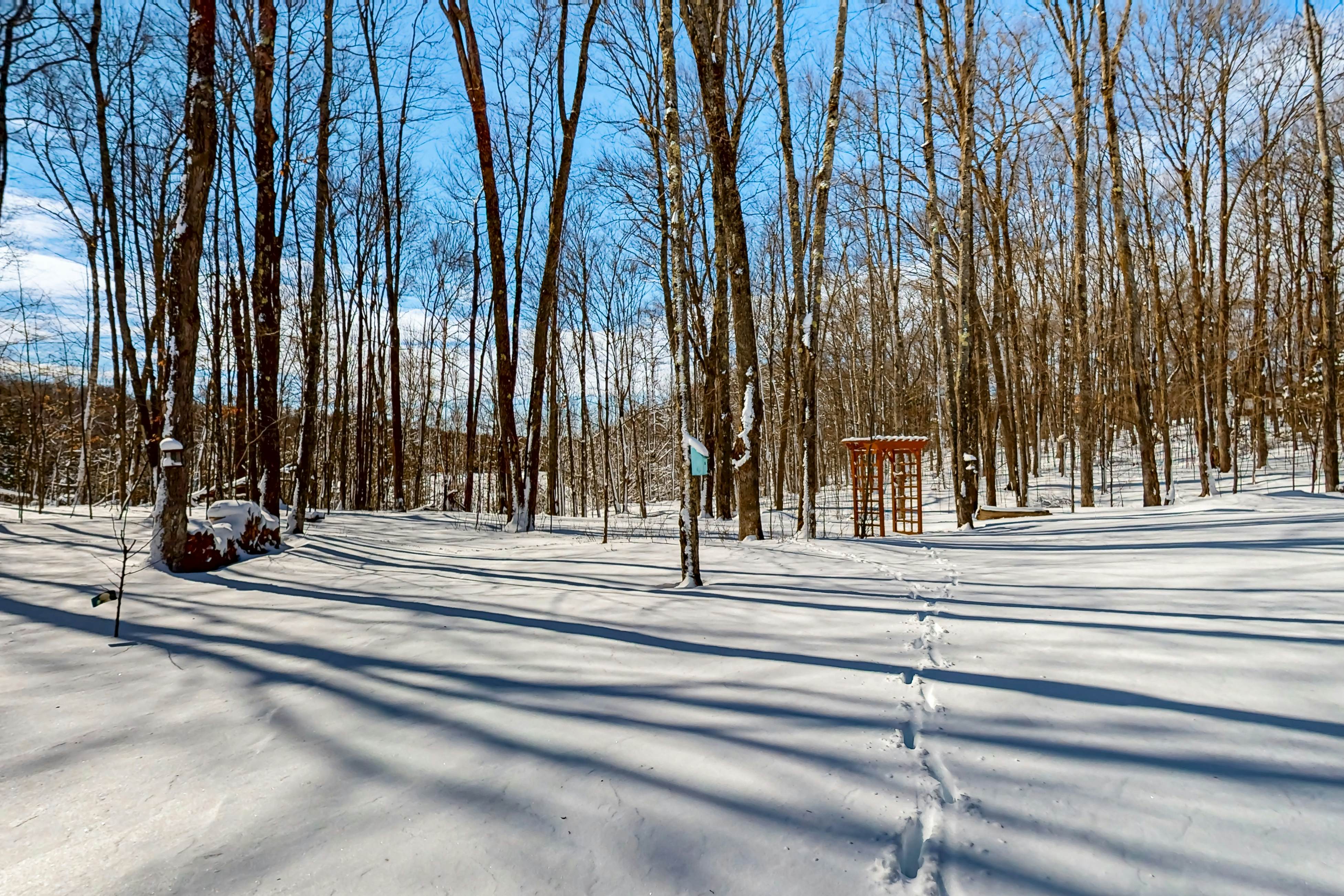 Little Piece of Heaven