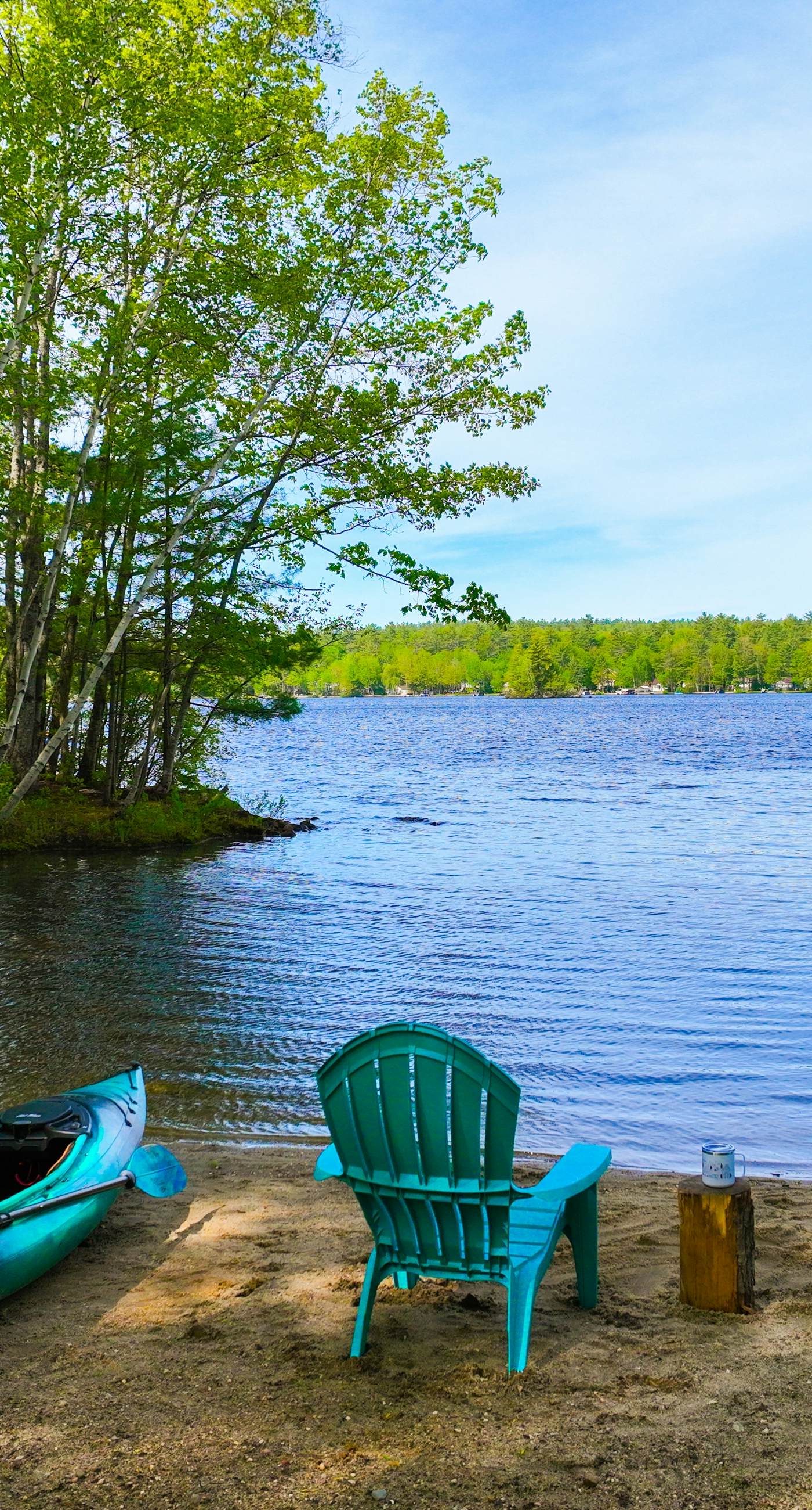 Super Birch on Little Sebago Lake
