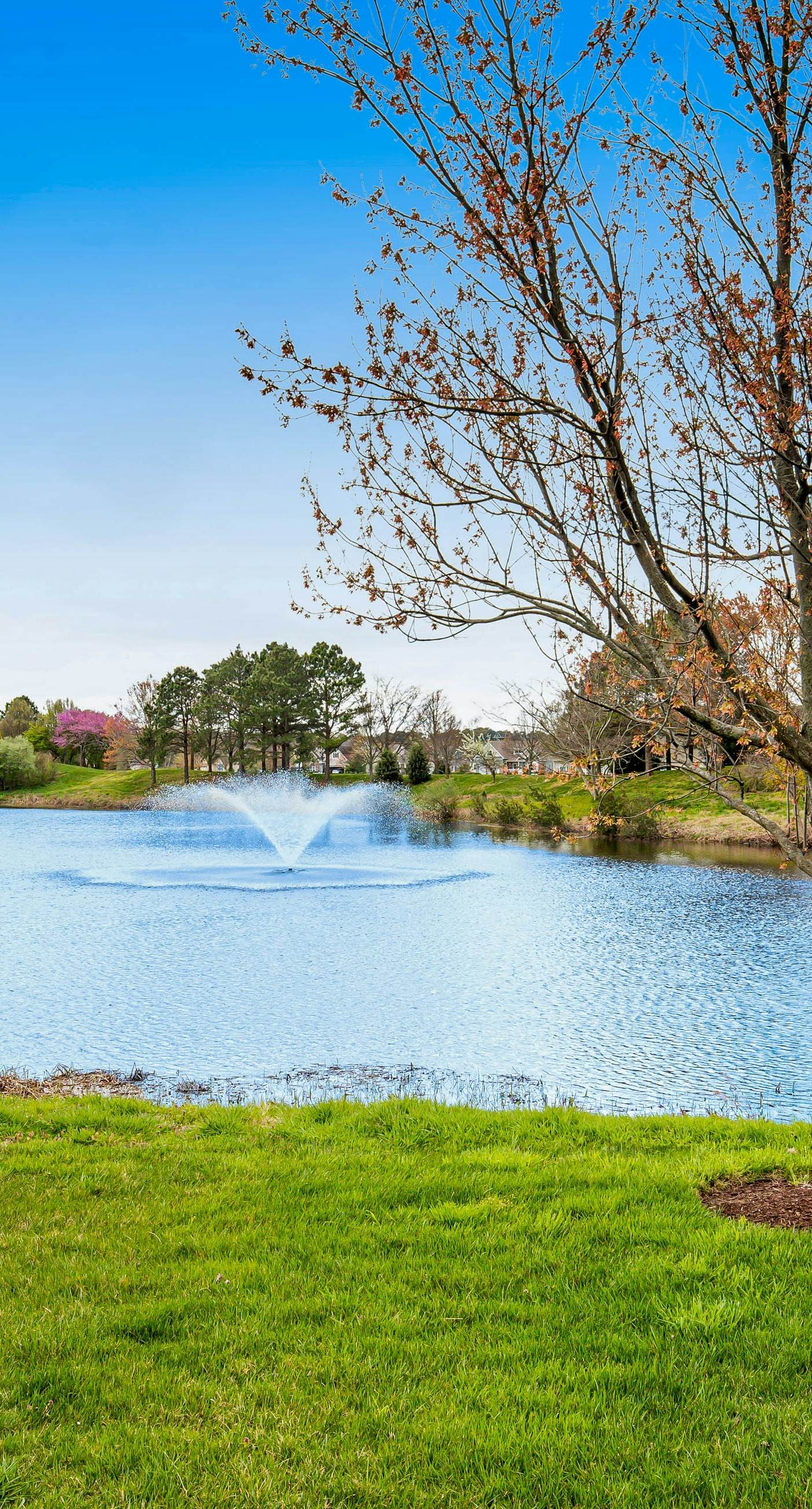 Bear Trap Dunes - 120A Willow Oak Ave