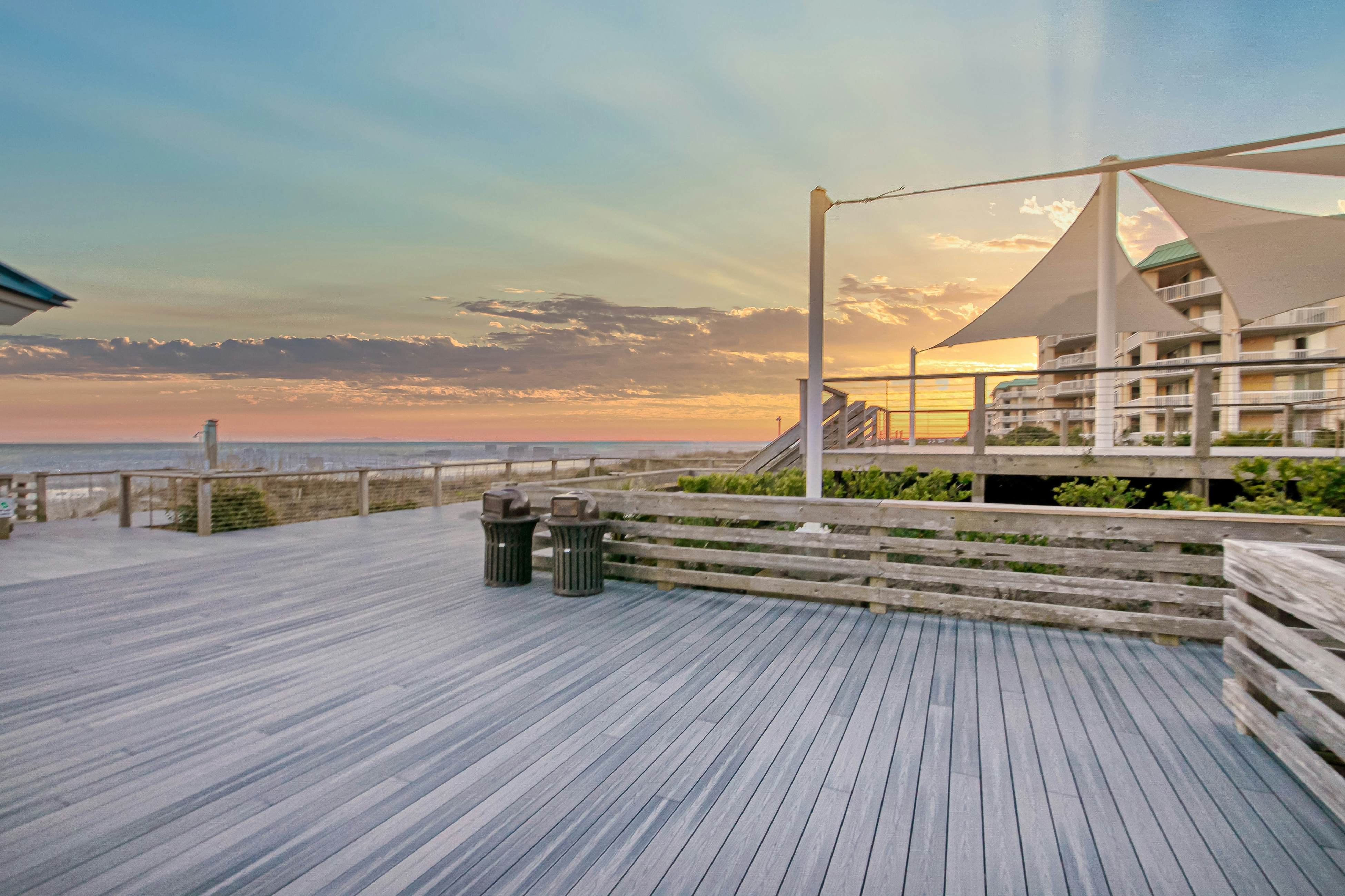 Marsh Hawk 3D at Litchfield by the Sea 