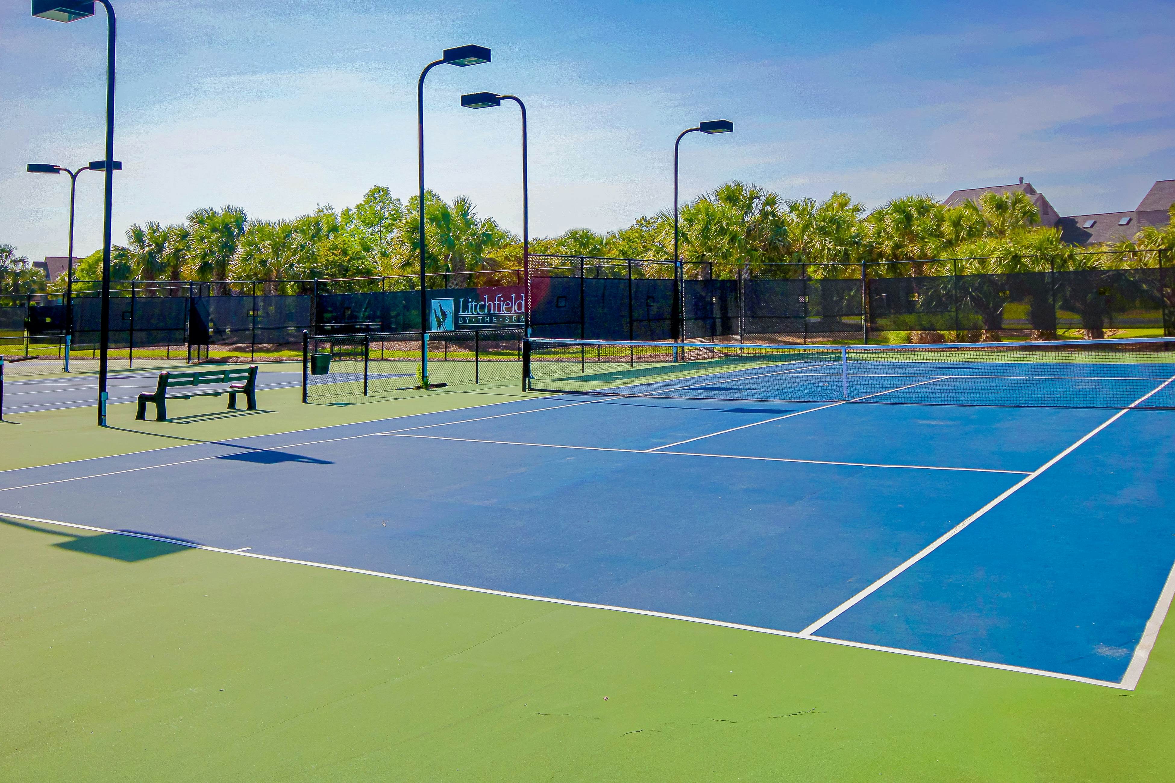 Marsh Hawk 3D at Litchfield by the Sea 