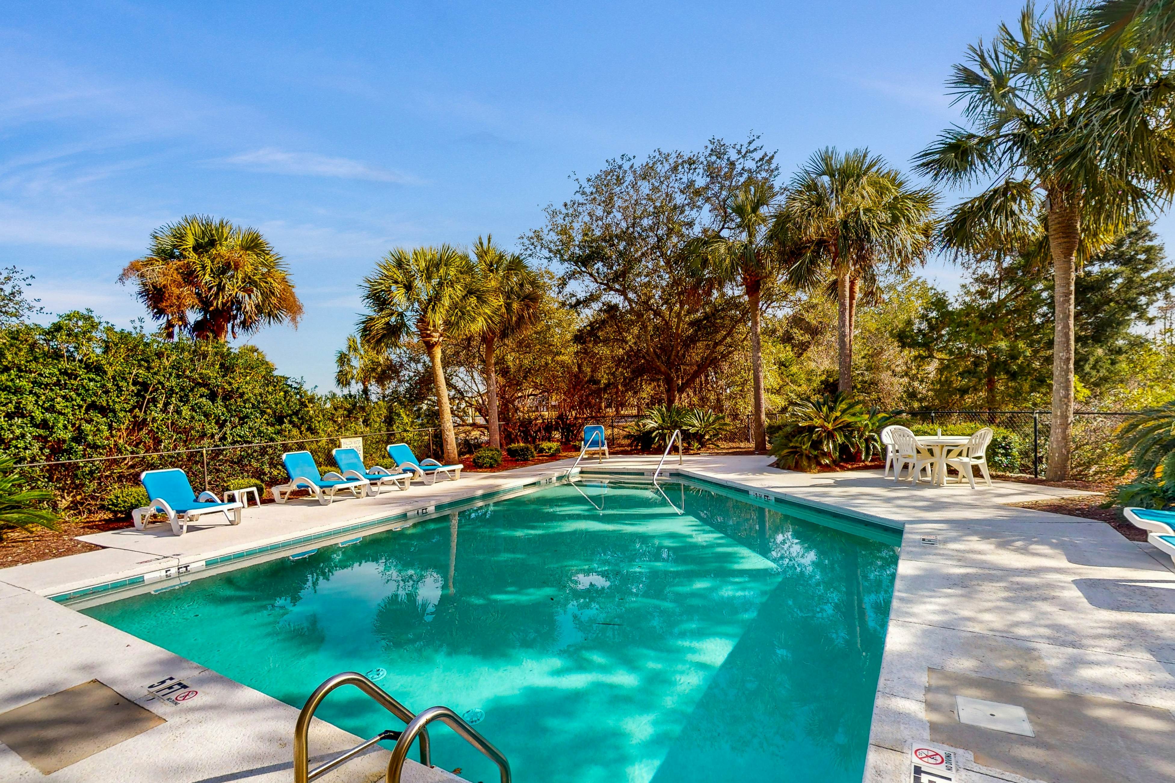 Marsh Hawk 3D at Litchfield by the Sea 