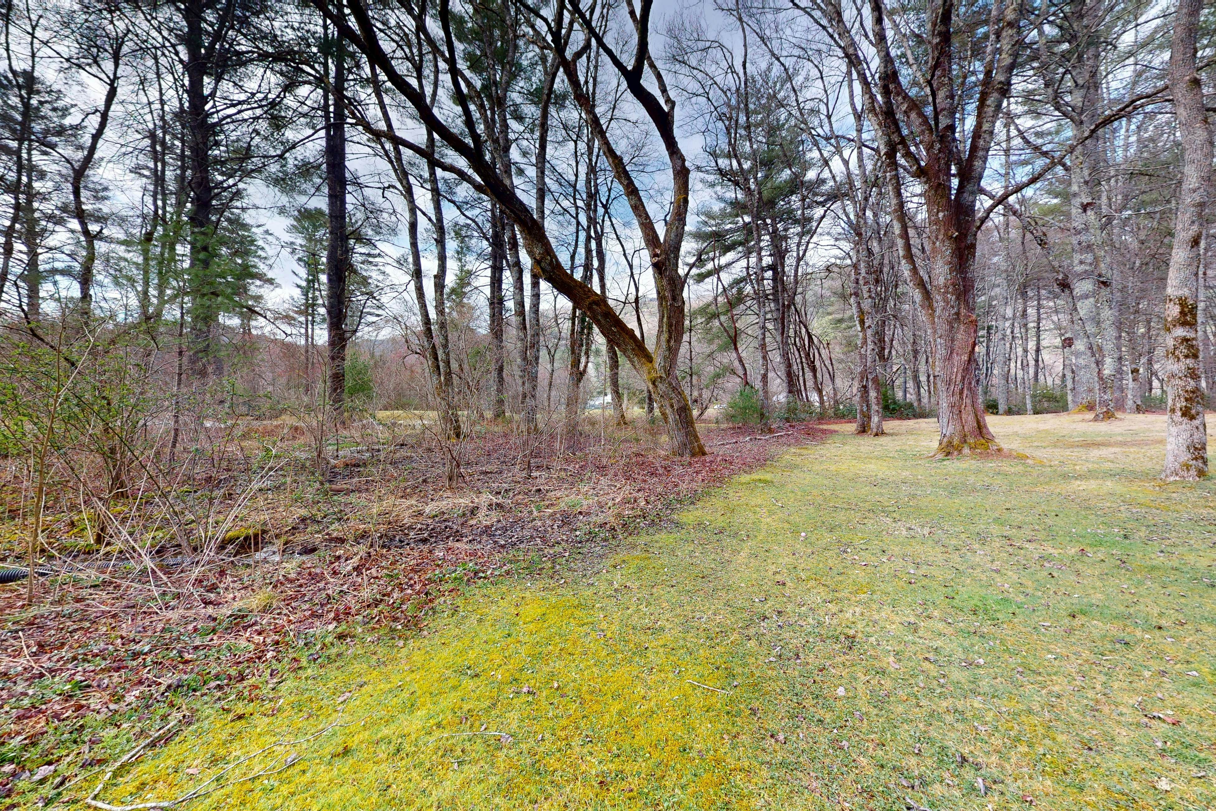 Sapphire Serenity - 1 BR