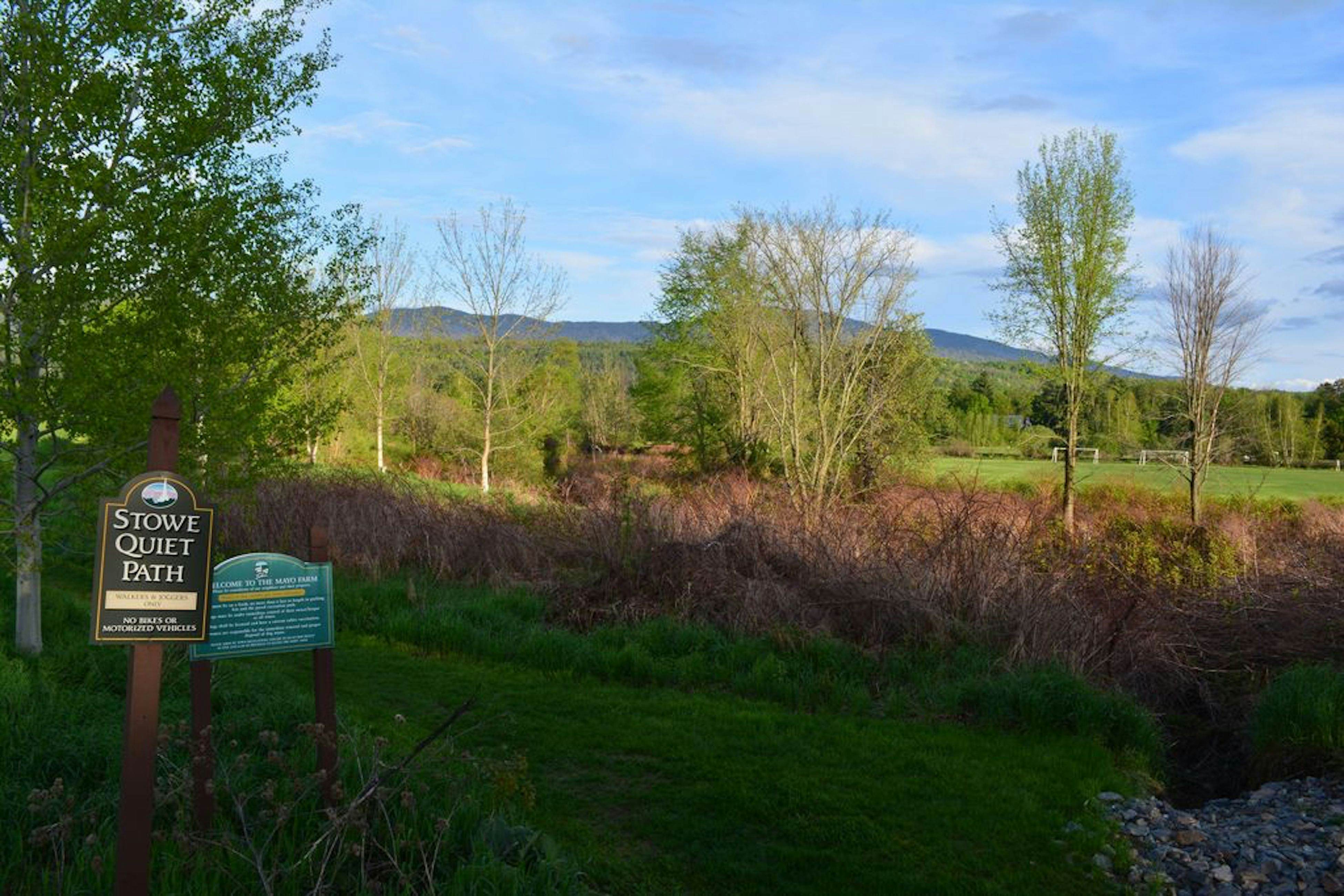 Mountainside Resort F302