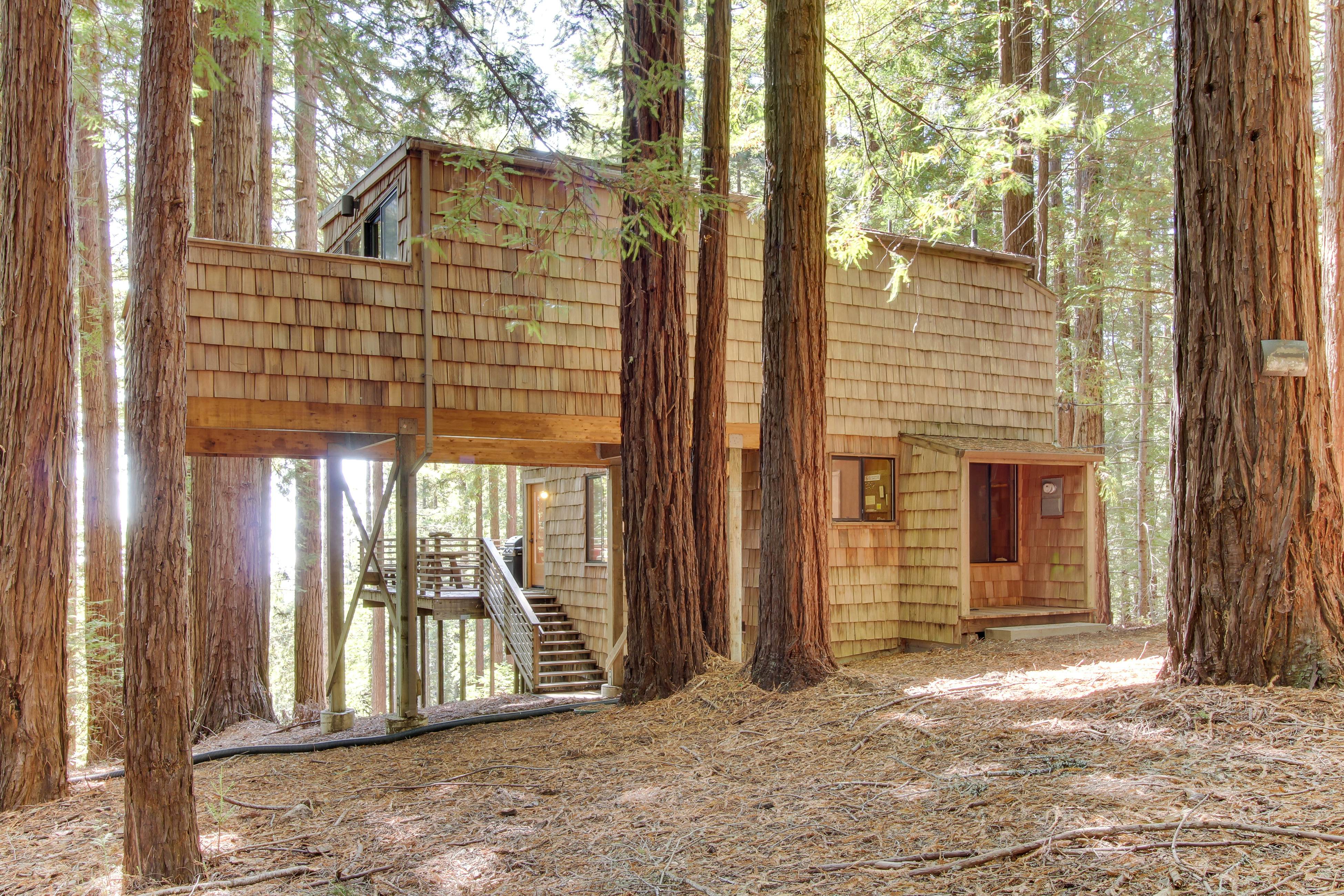 The Redwood House