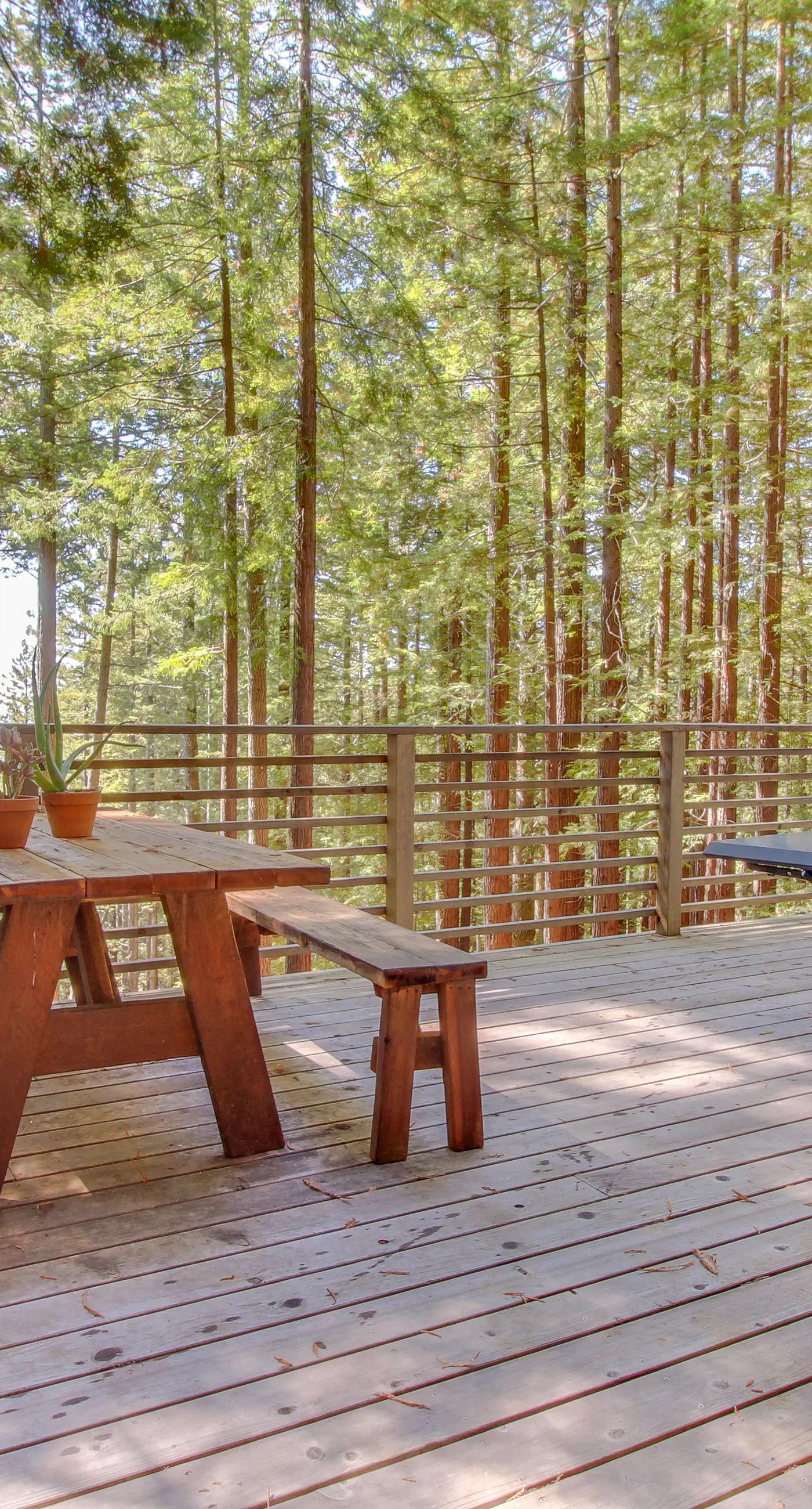 The Redwood House 1 BD Gualala, CA Vacation Rental Vacasa