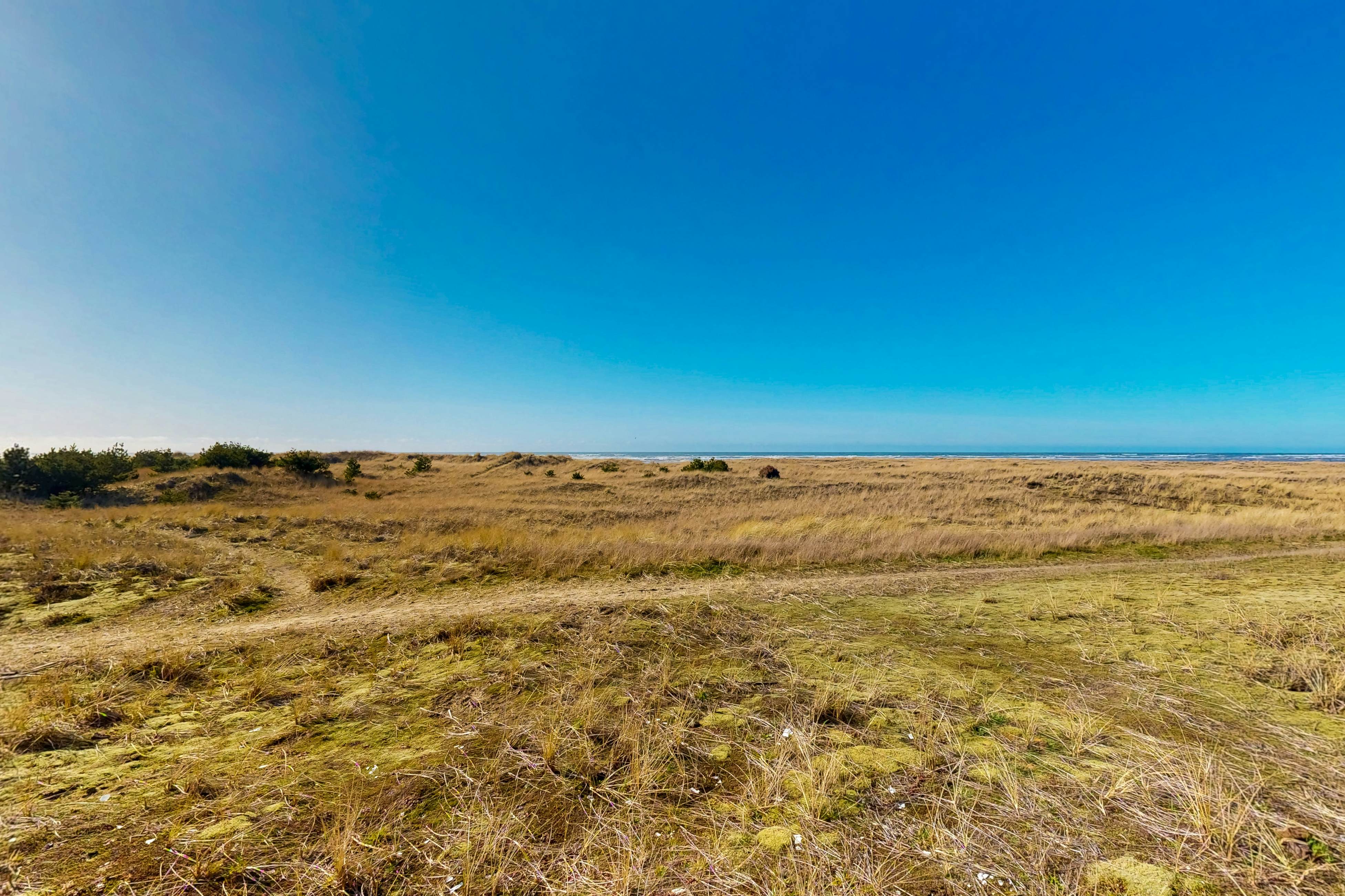 Frannie's Beachfront