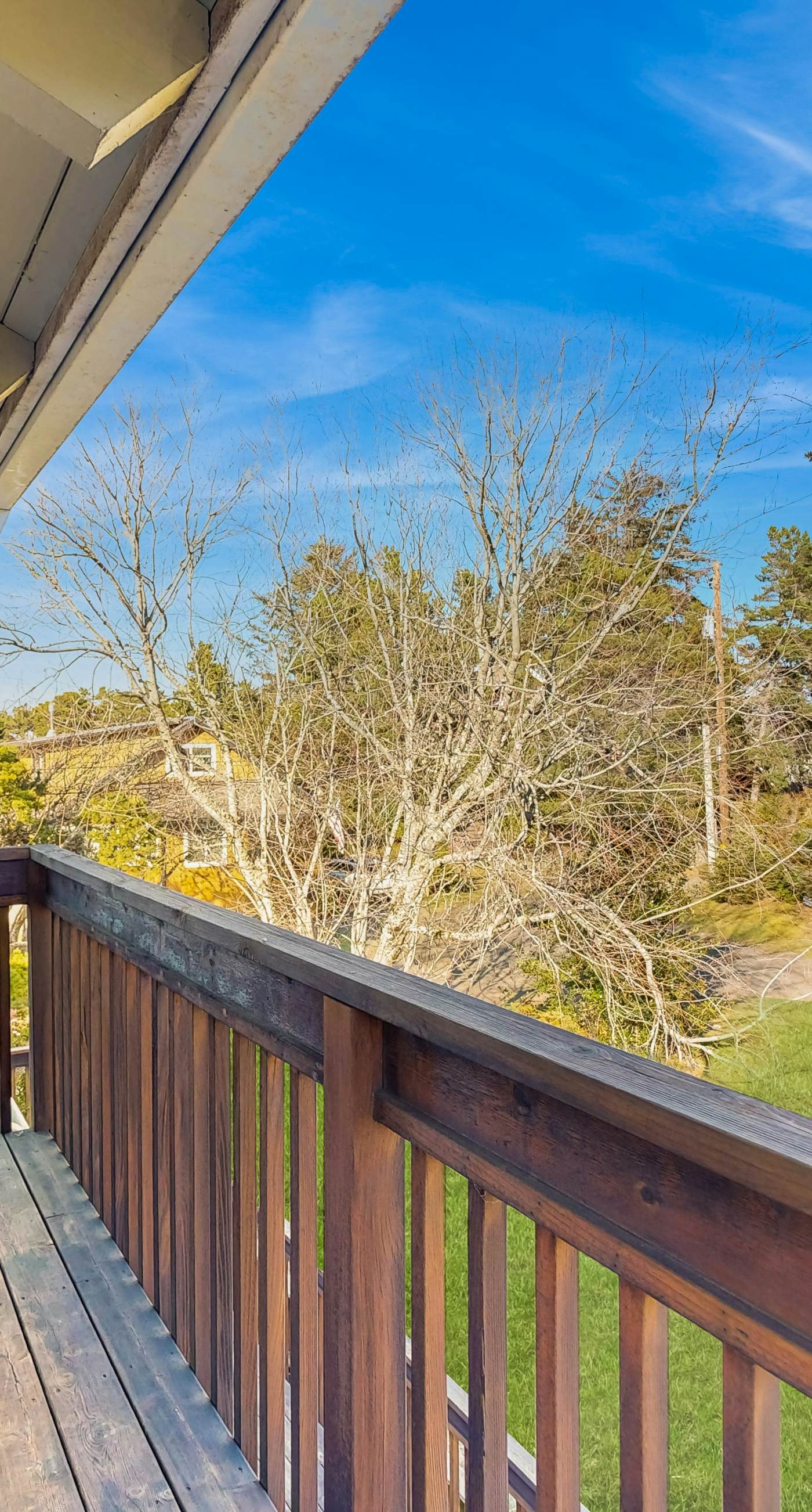 Seaside Turtle Terrace