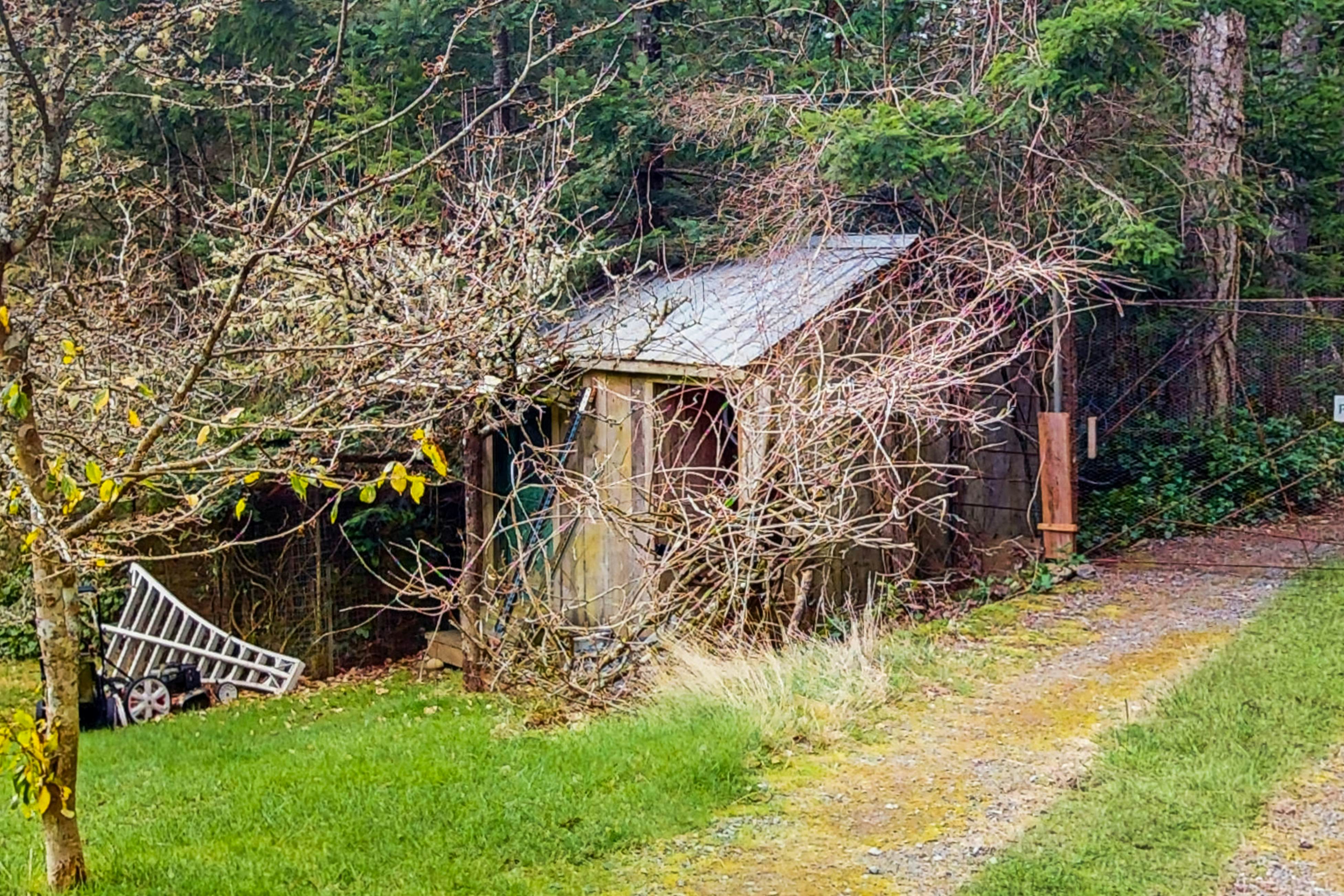 Island Artist Studio